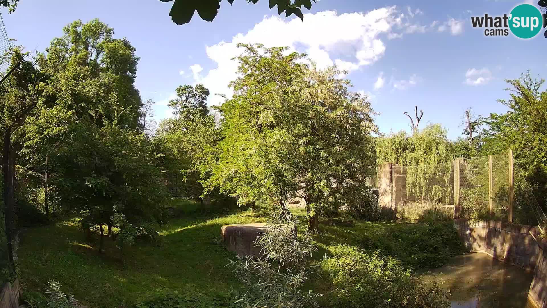Spletna kamera Zoo Zagreb – Levi