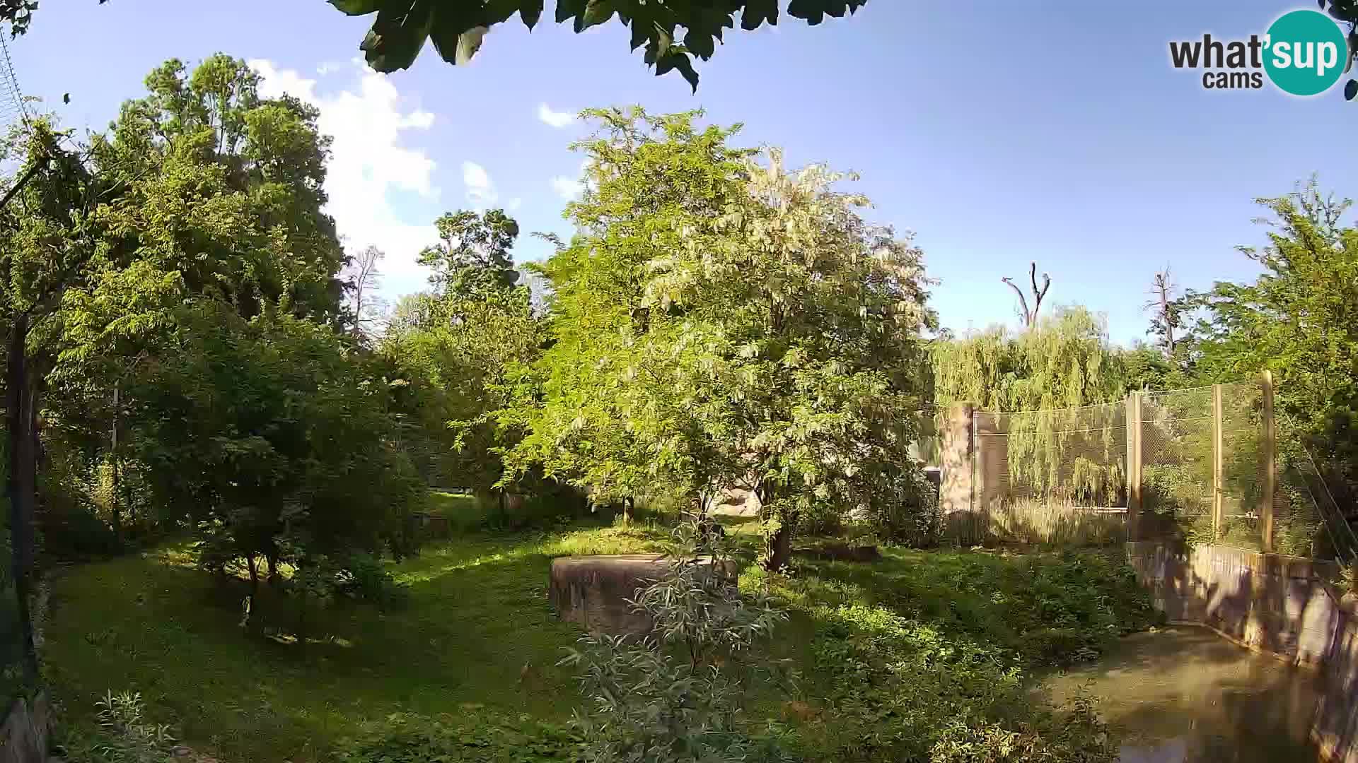 Spletna kamera Zoo Zagreb – Levi