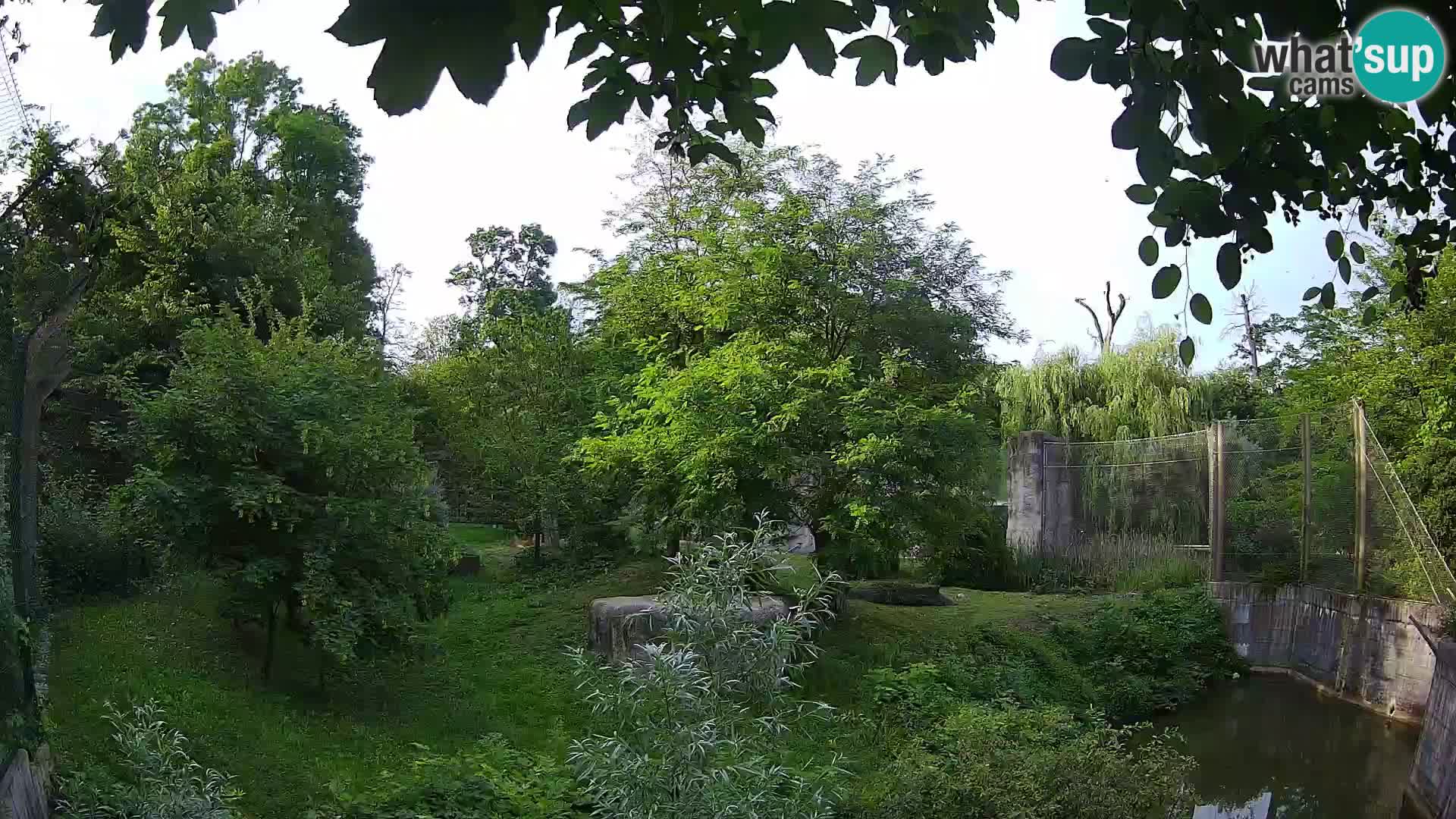 Zoo Zagreb – Löwen