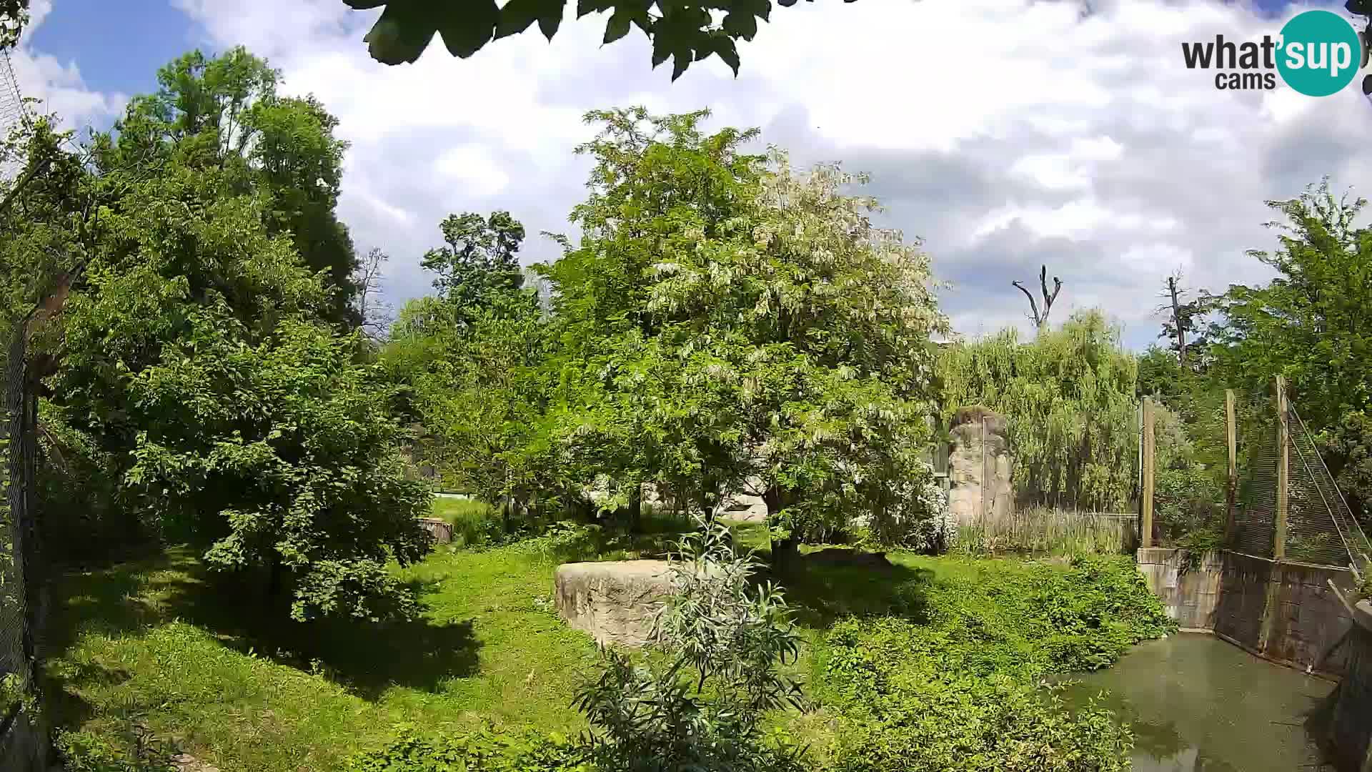 Zoo Zagreb – Leoni