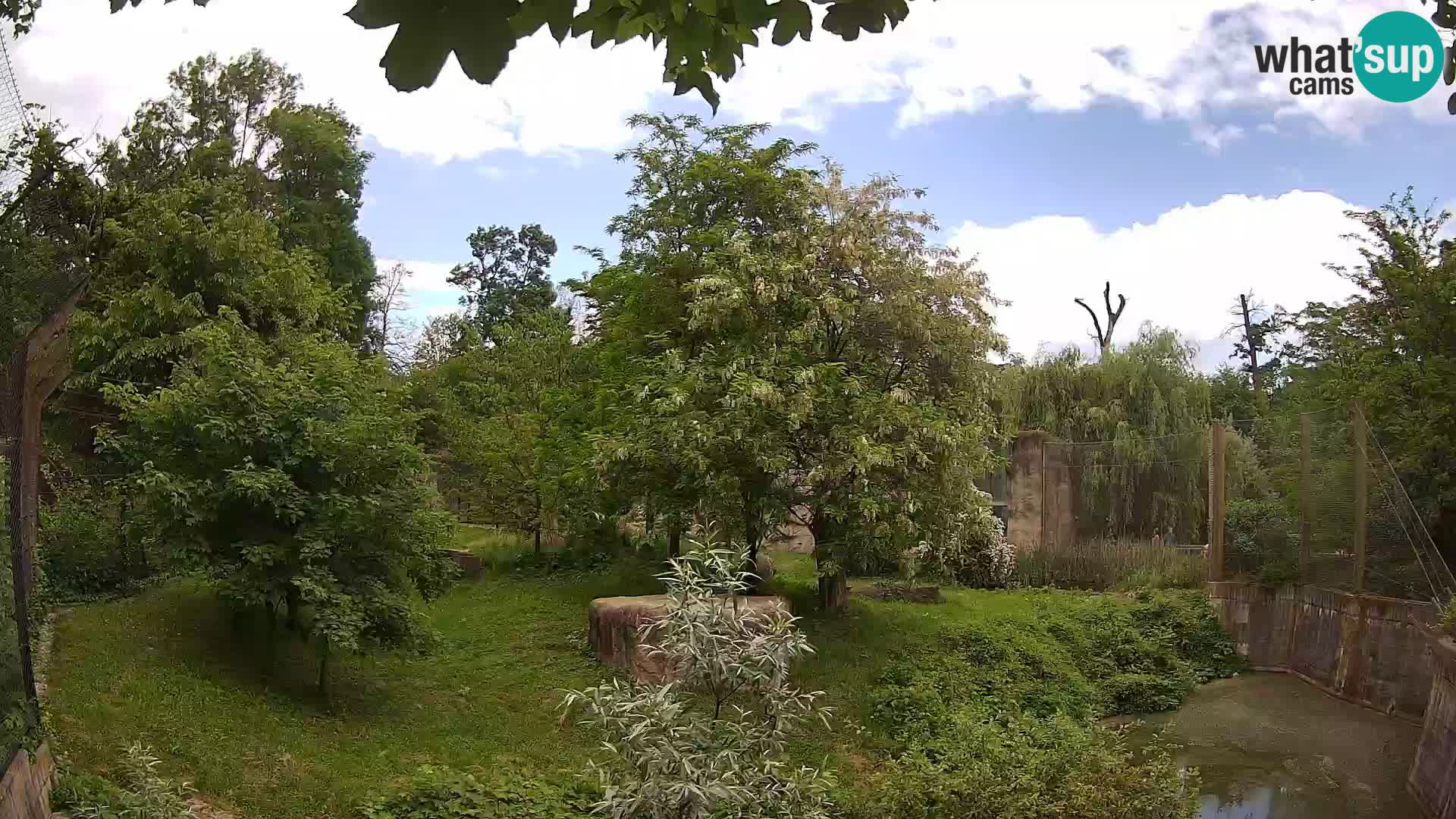 Zoo Zagreb – Leoni