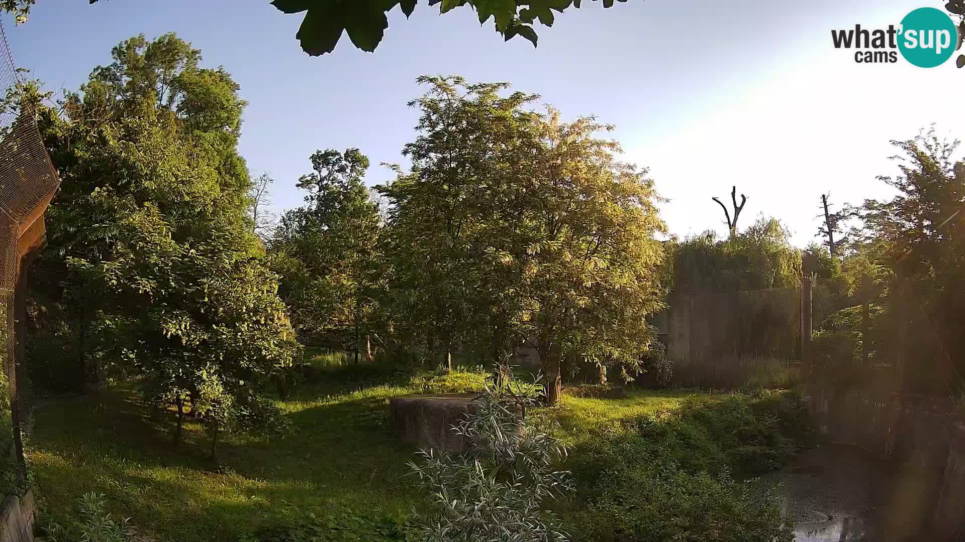 Spletna kamera Zoo Zagreb – Levi