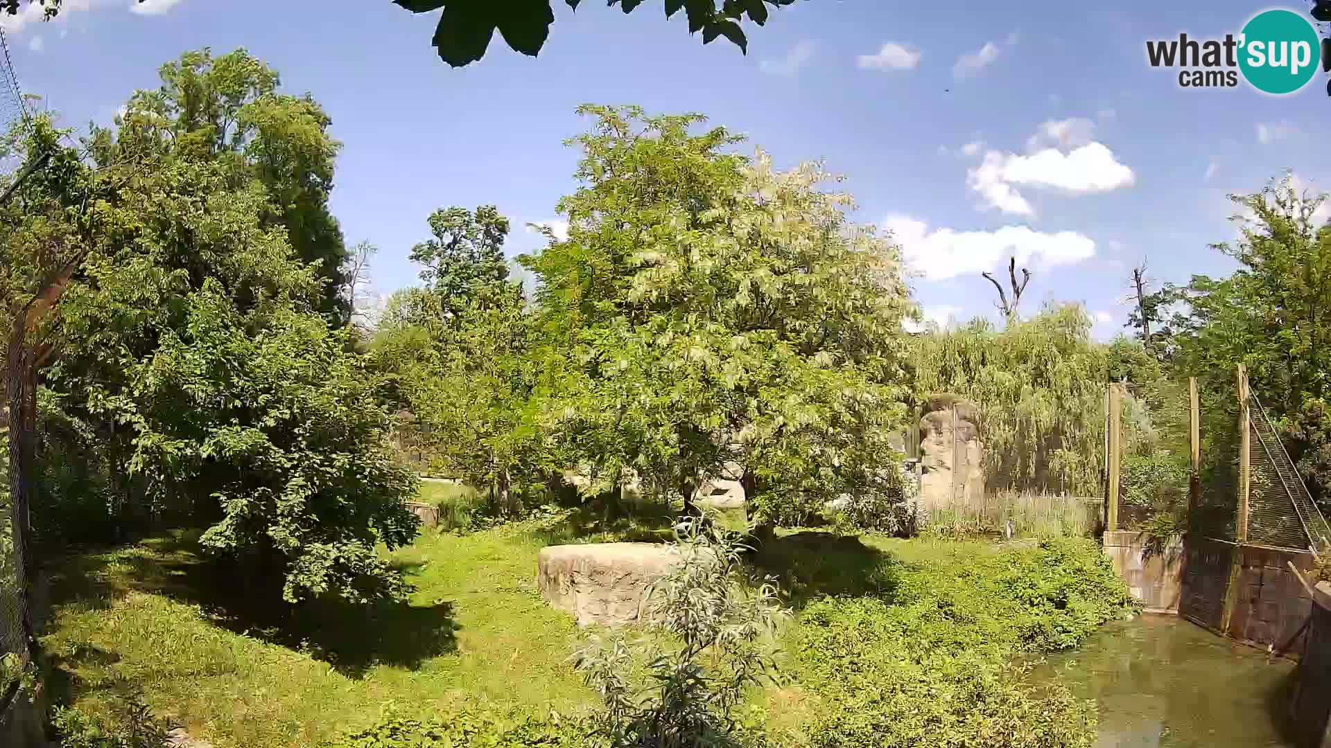 Zoo Zagreb – Leones