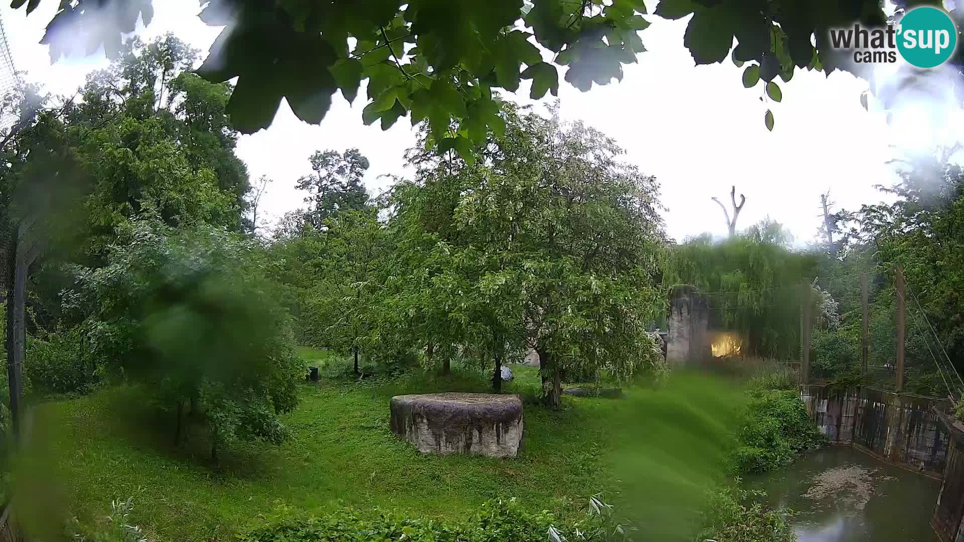 Zoo Zagreb – Leoni