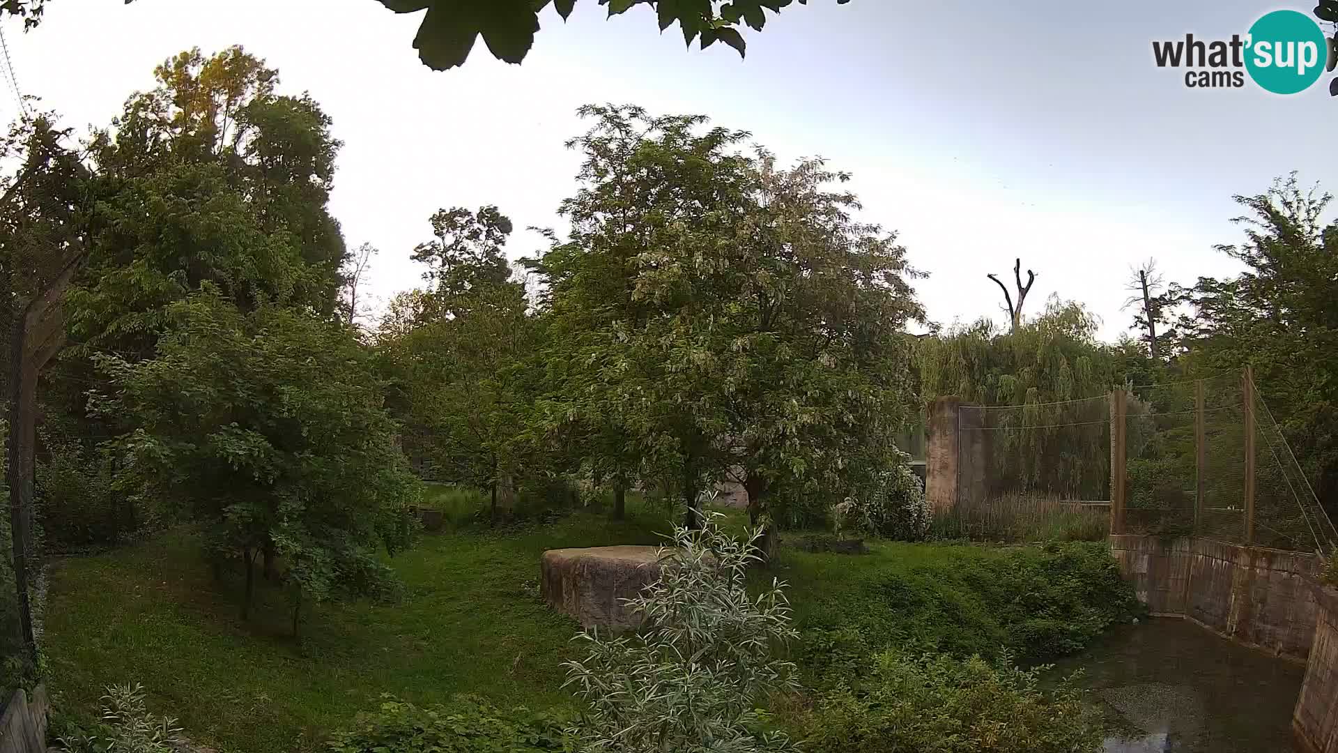 Zoo Zagreb – Lavovi