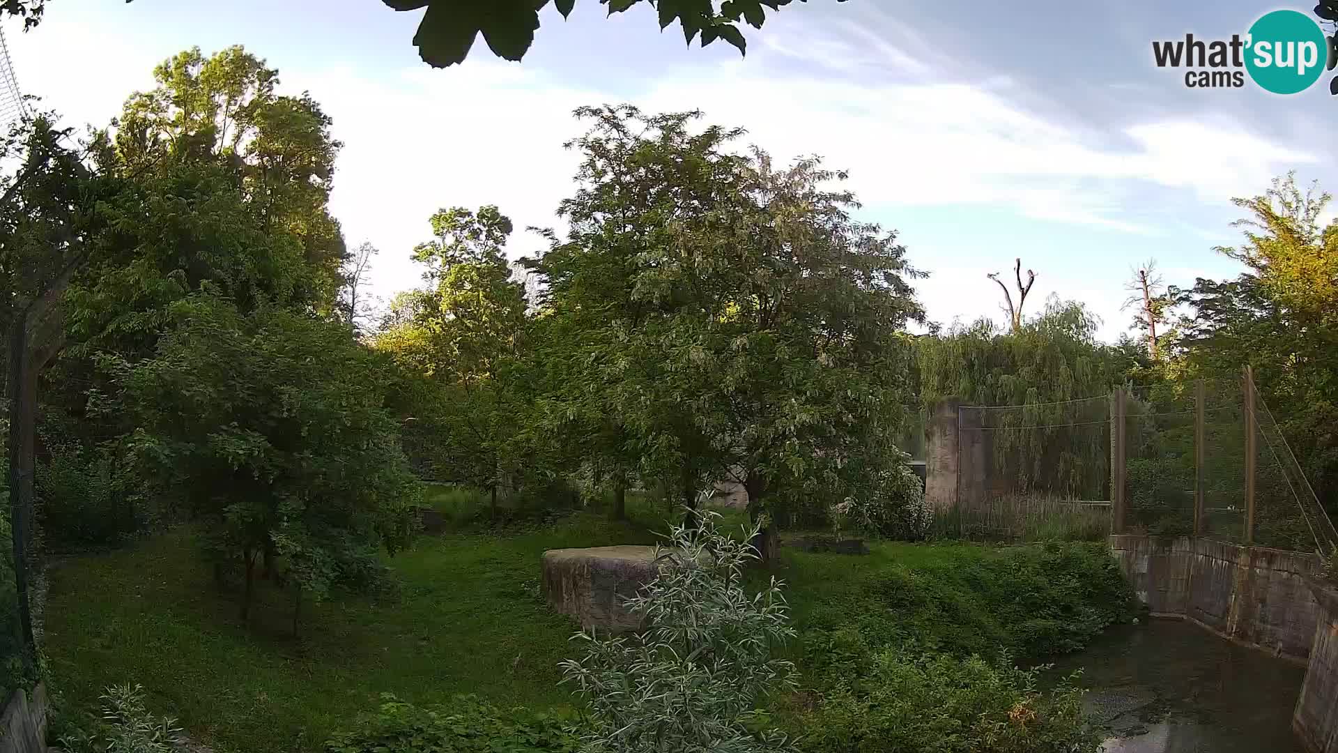 Zoo Zagreb – Löwen