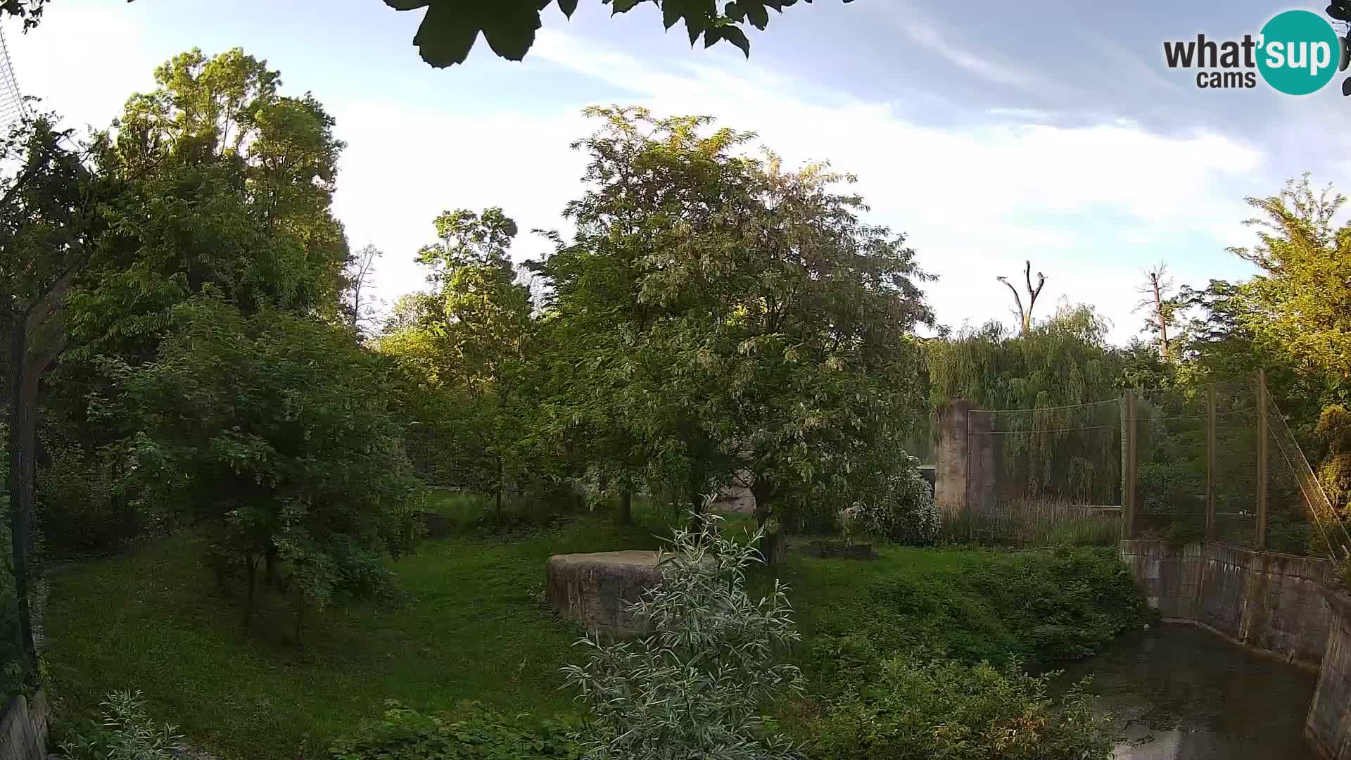 Zoo Zagreb – Leones
