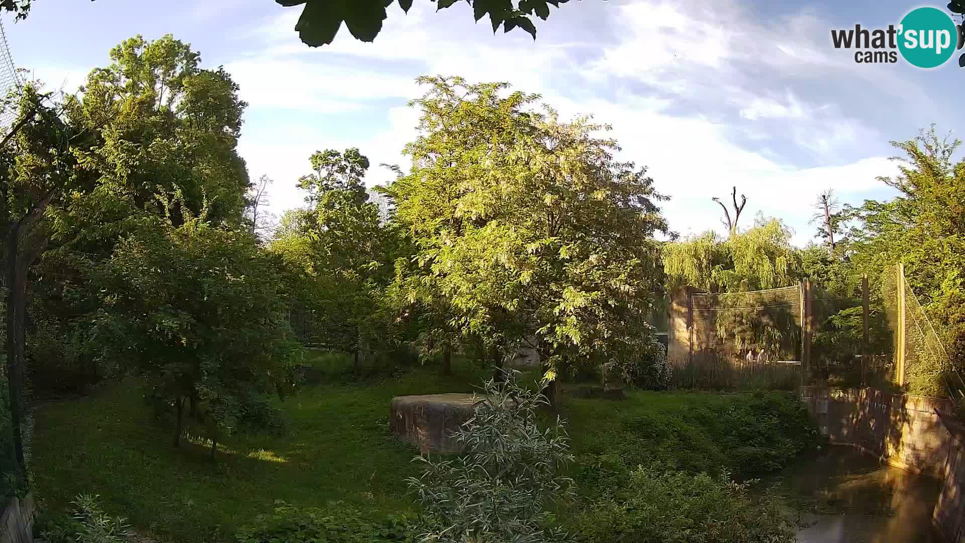 Zoo Zagreb – Löwen