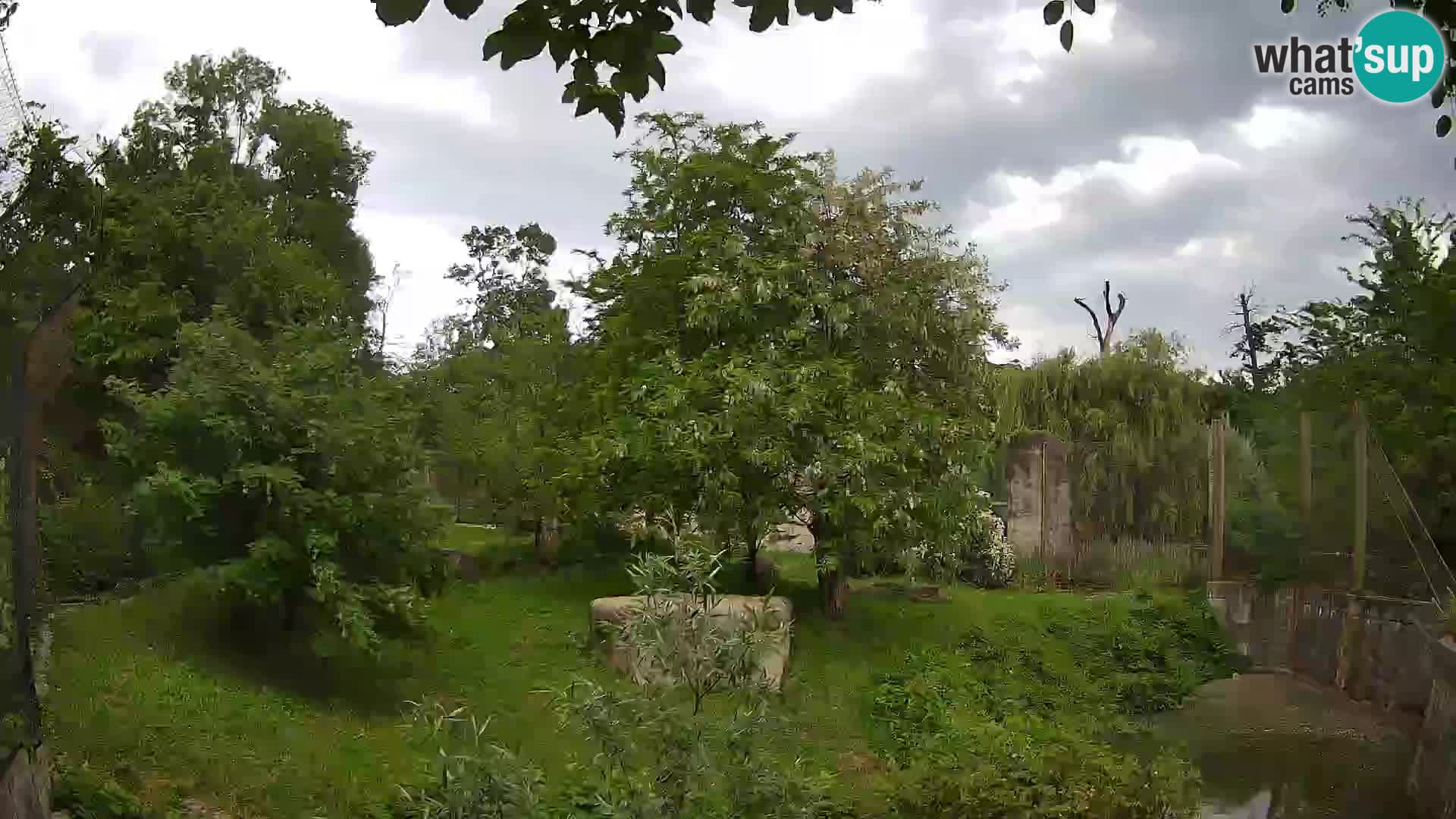 Zoo Zagreb – Löwen