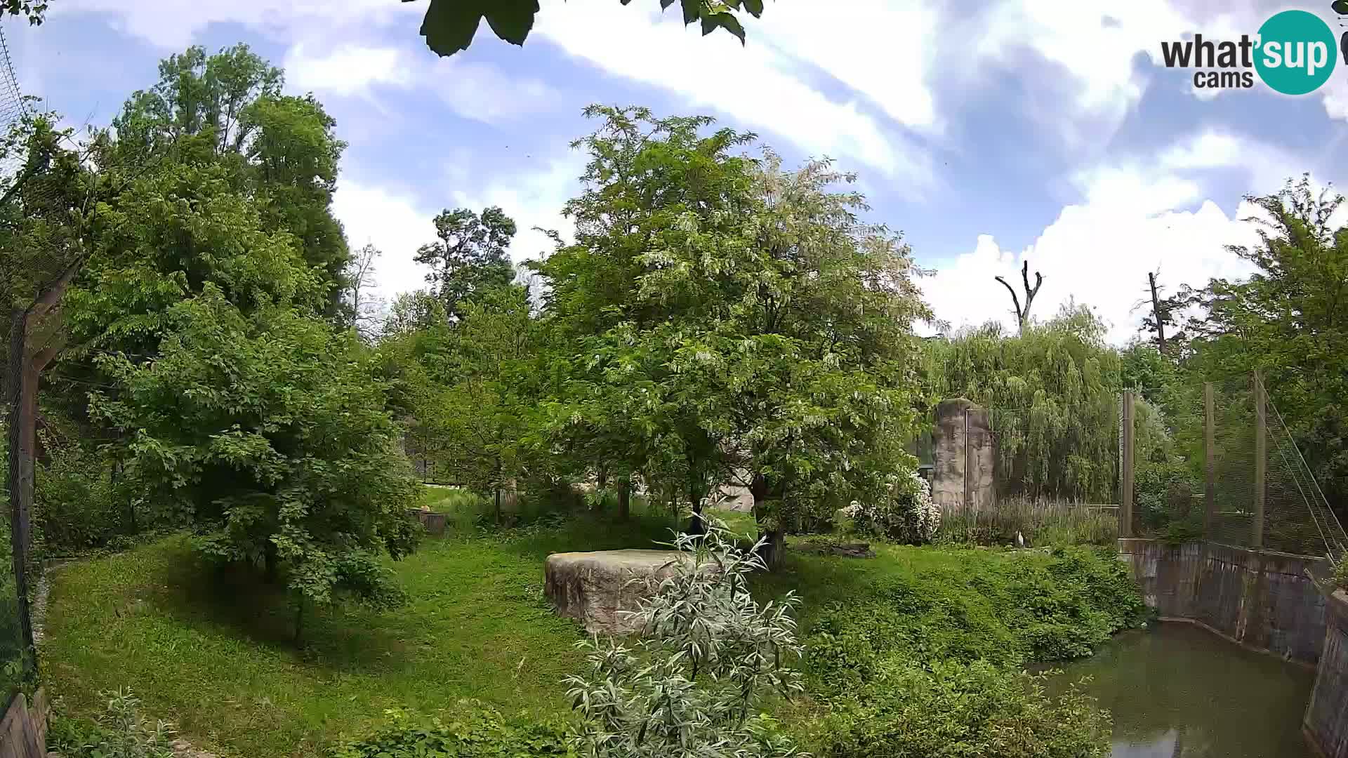 Zoo Zagreb – Lavovi