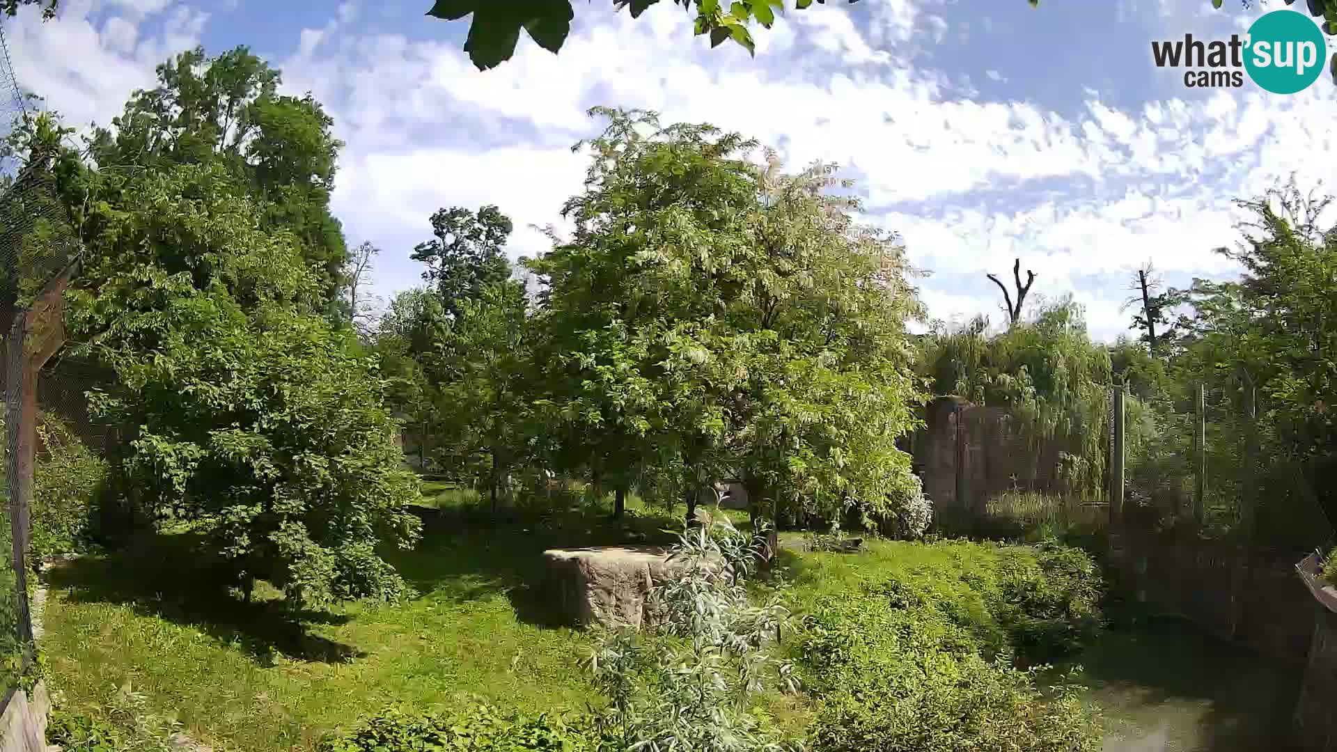 Zoo Zagreb – Leones