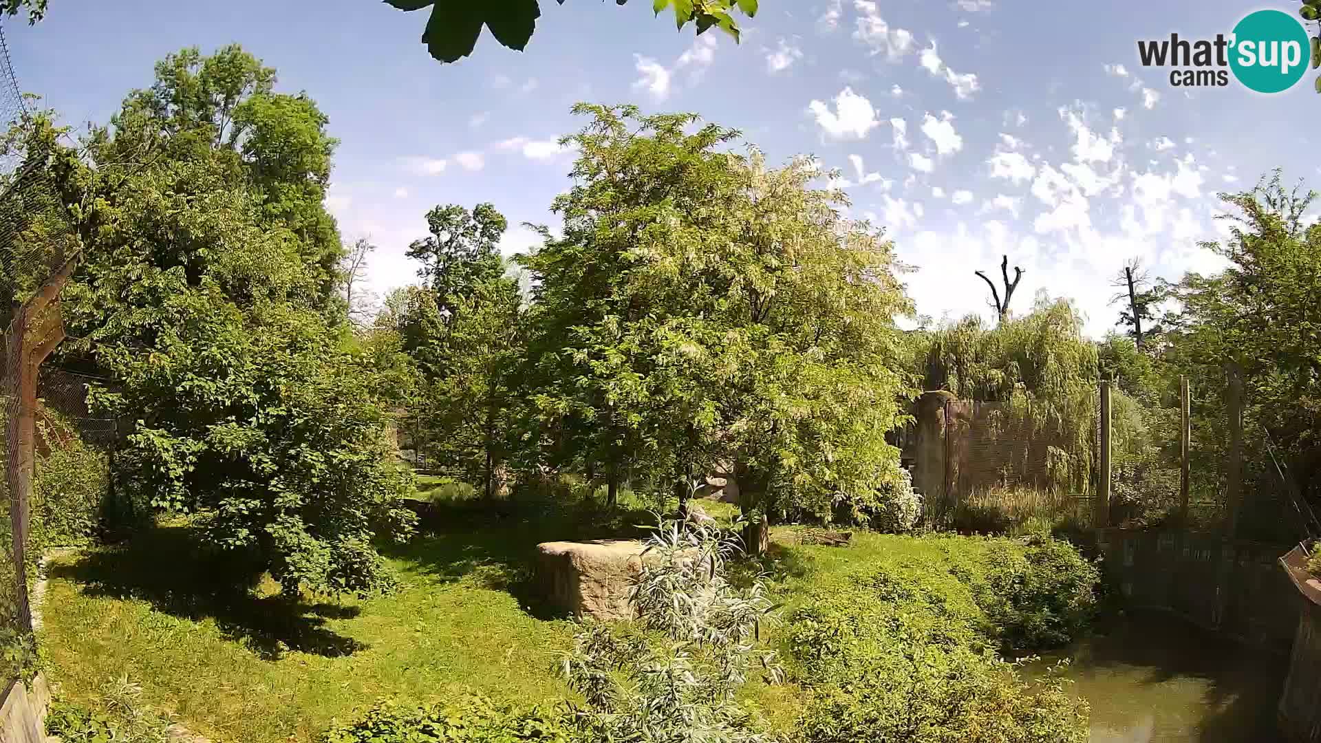 Zoo Zagreb – Löwen