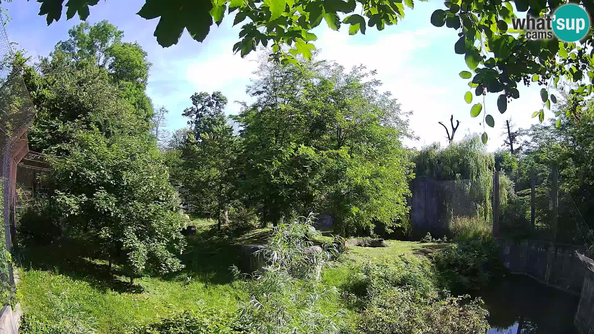 Zoo Zagreb – Löwen