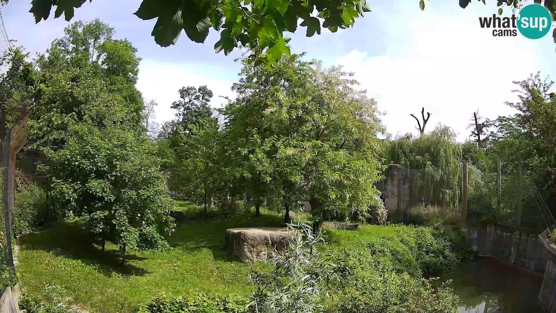 Zoo Zagreb – Leoni
