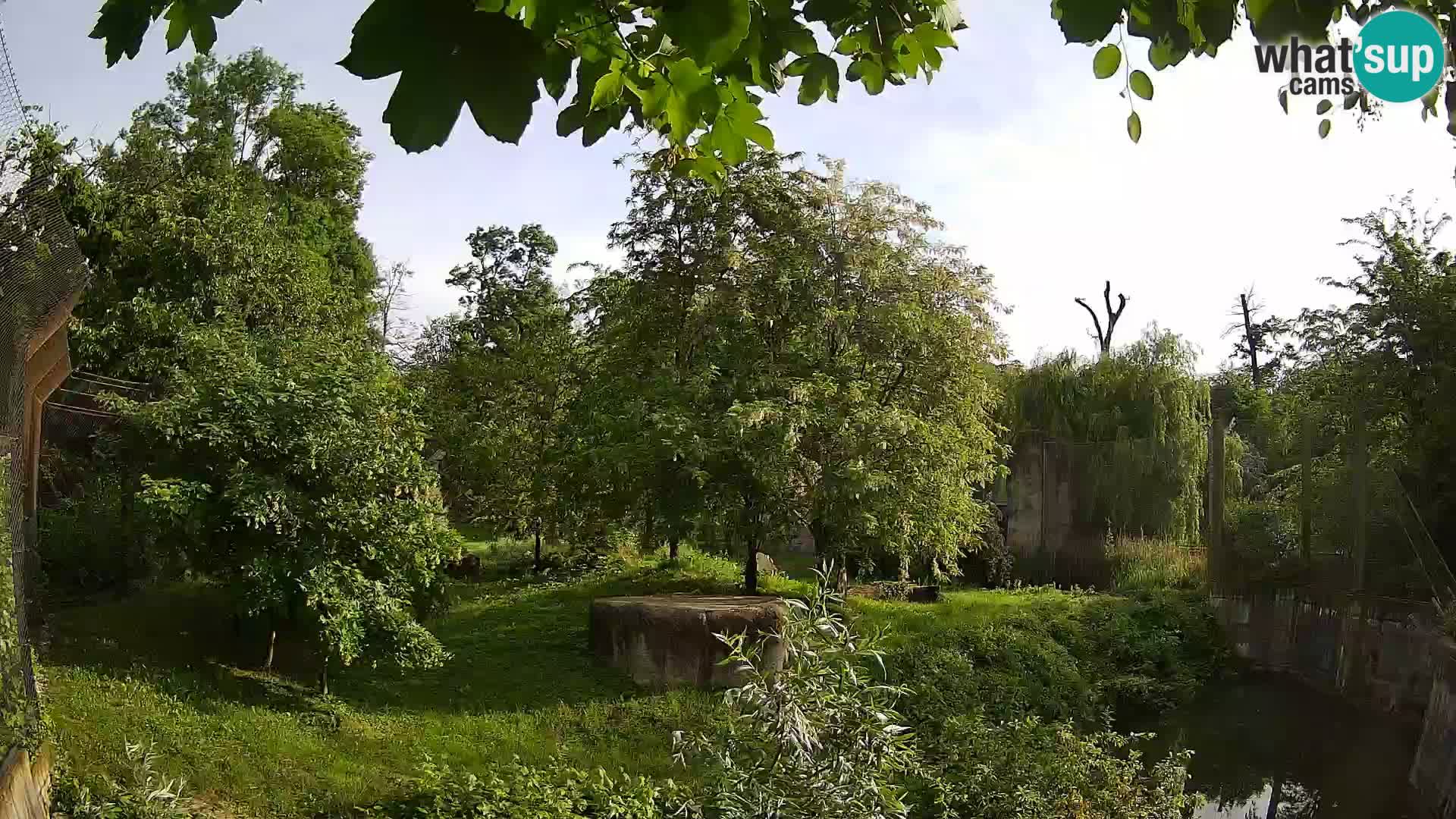 Zoo Zagreb – Leoni