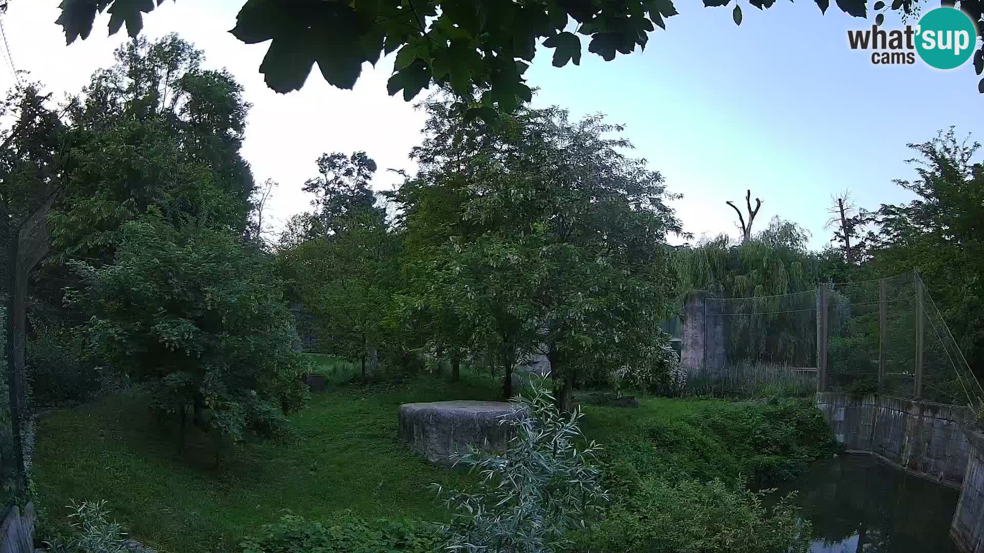 Zoo Zagreb – Leoni