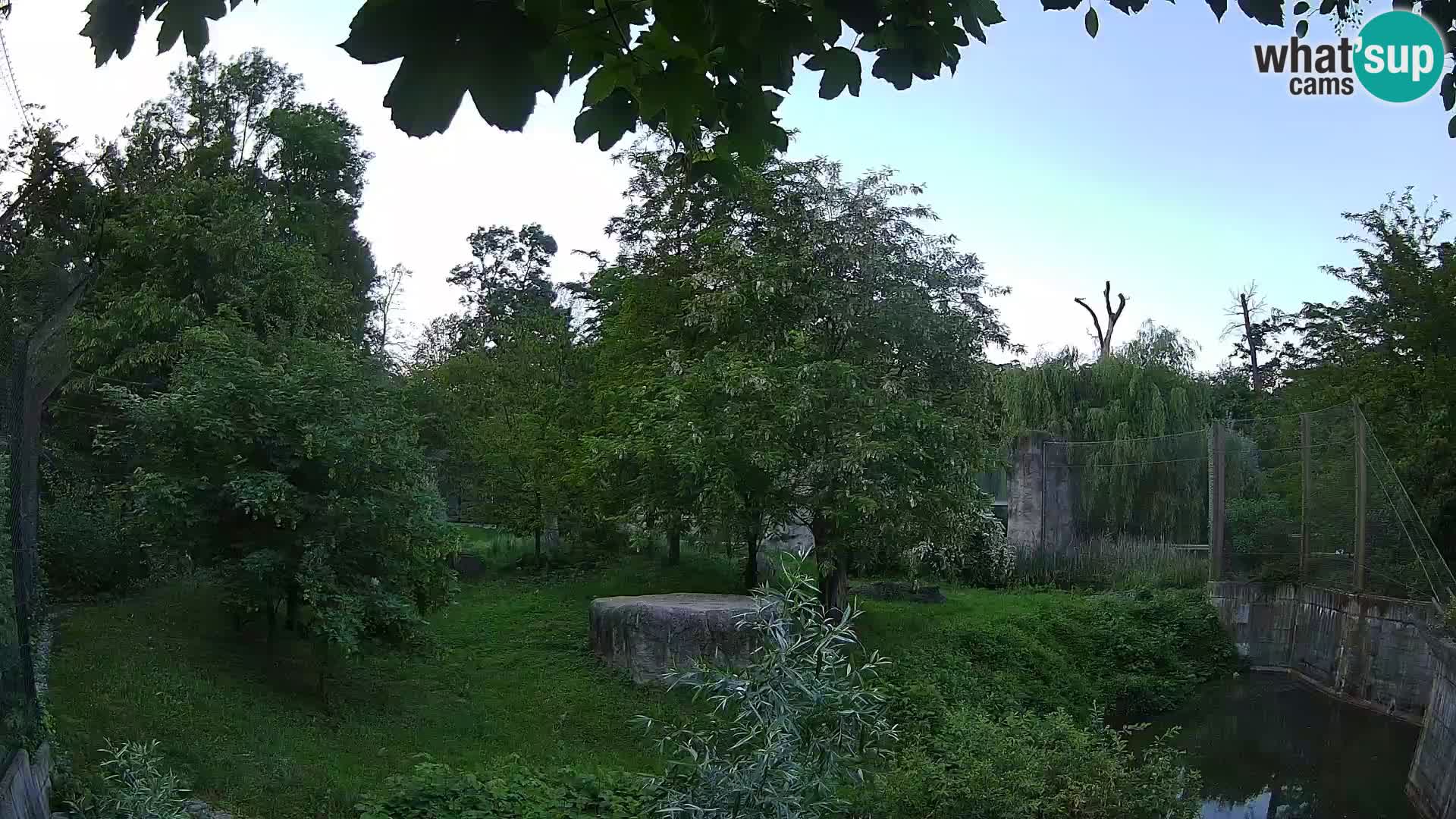 Zoo Zagreb – Leoni