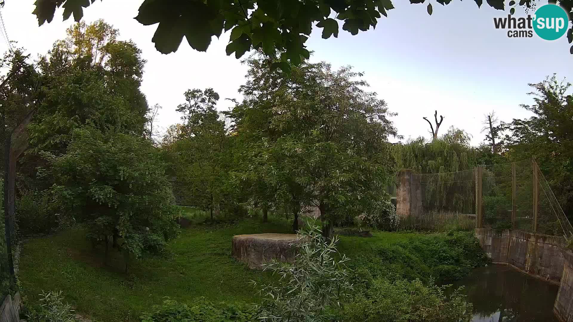 Zoo Zagreb – Leoni