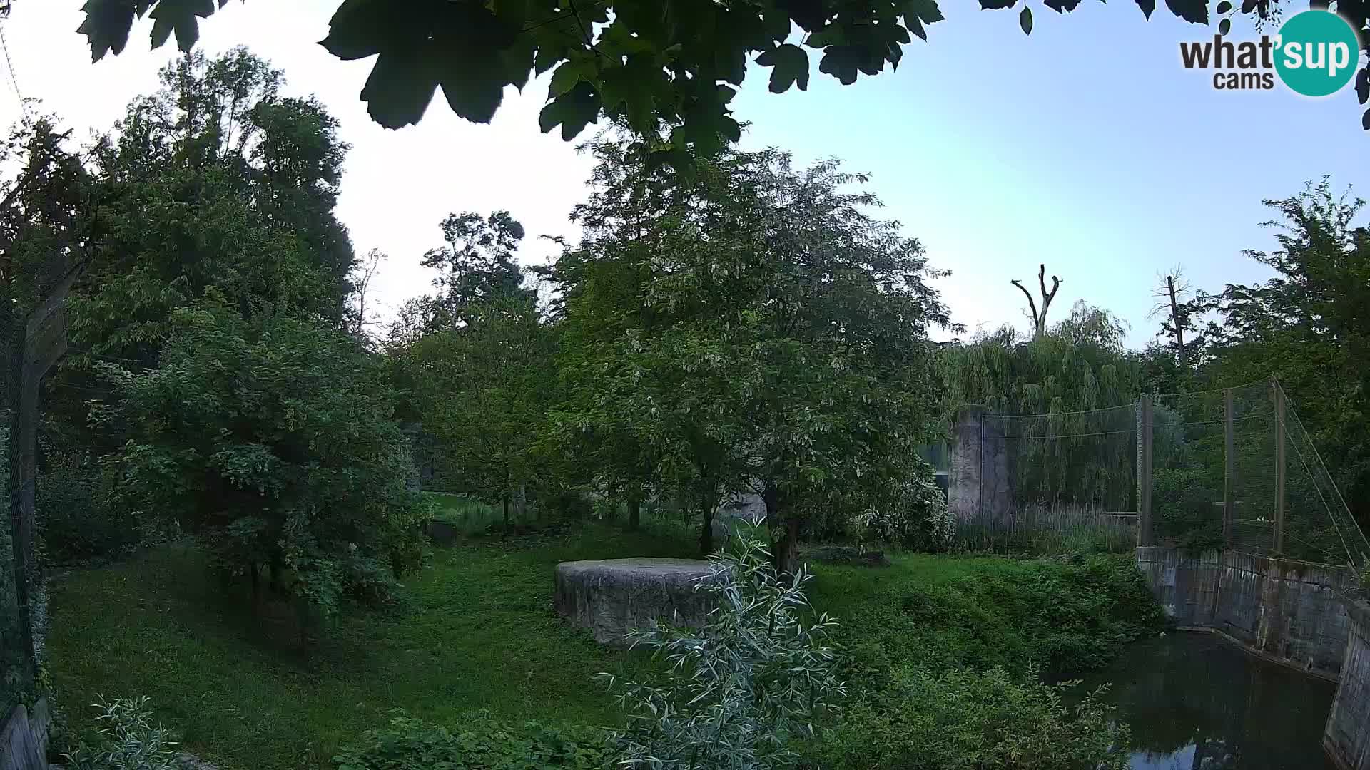 Zoo Zagreb – Löwen