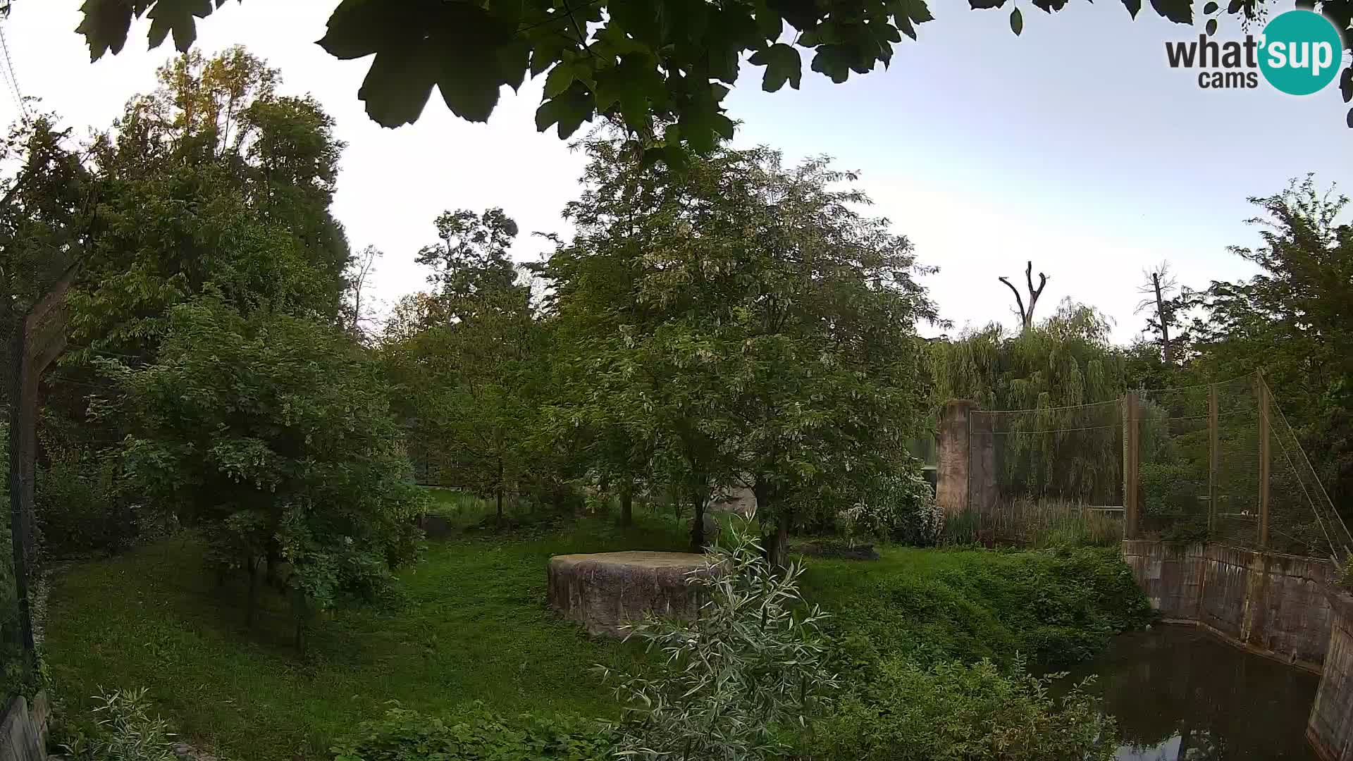 Zoo Zagreb – Leones
