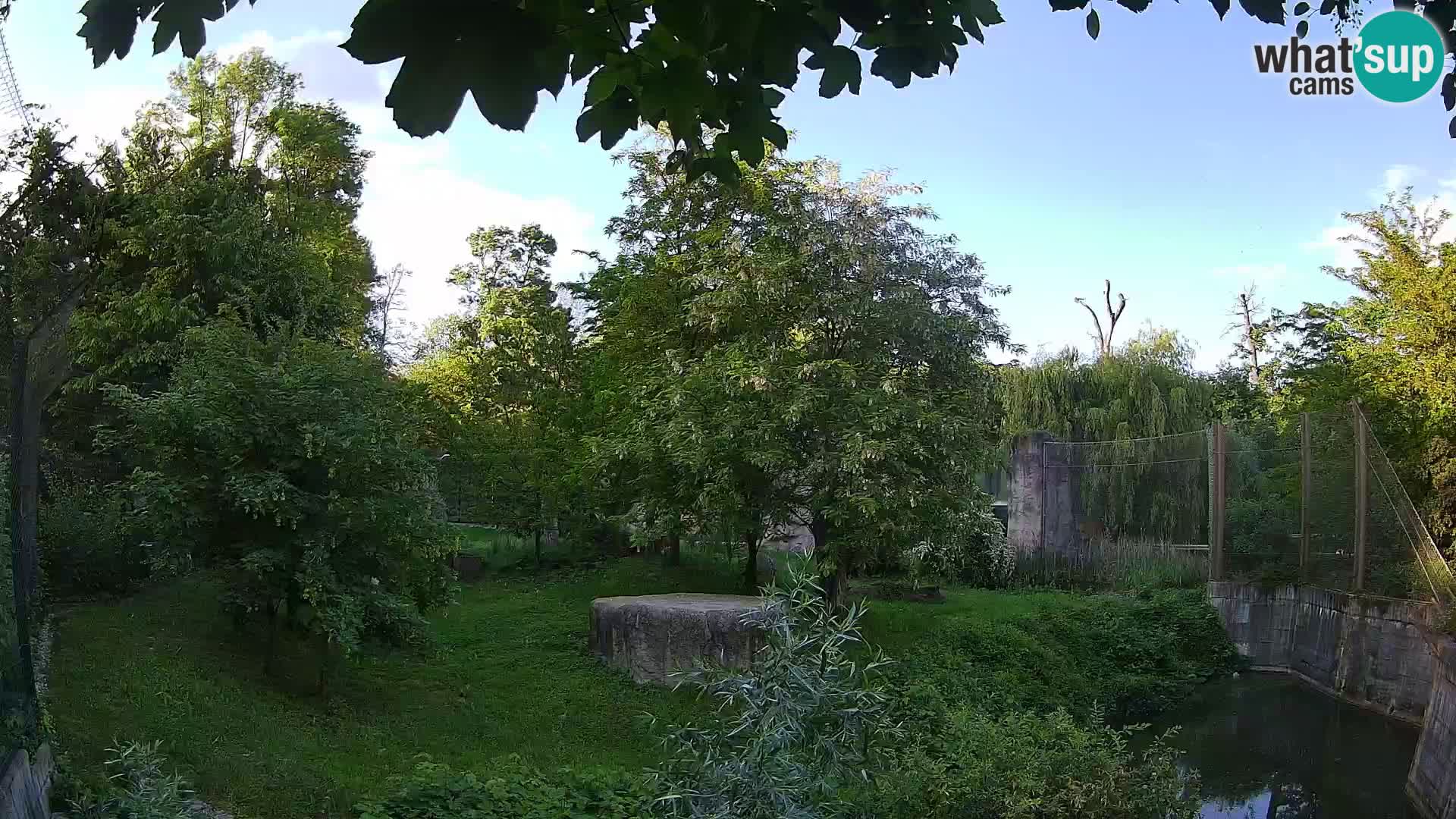 Spletna kamera Zoo Zagreb – Levi