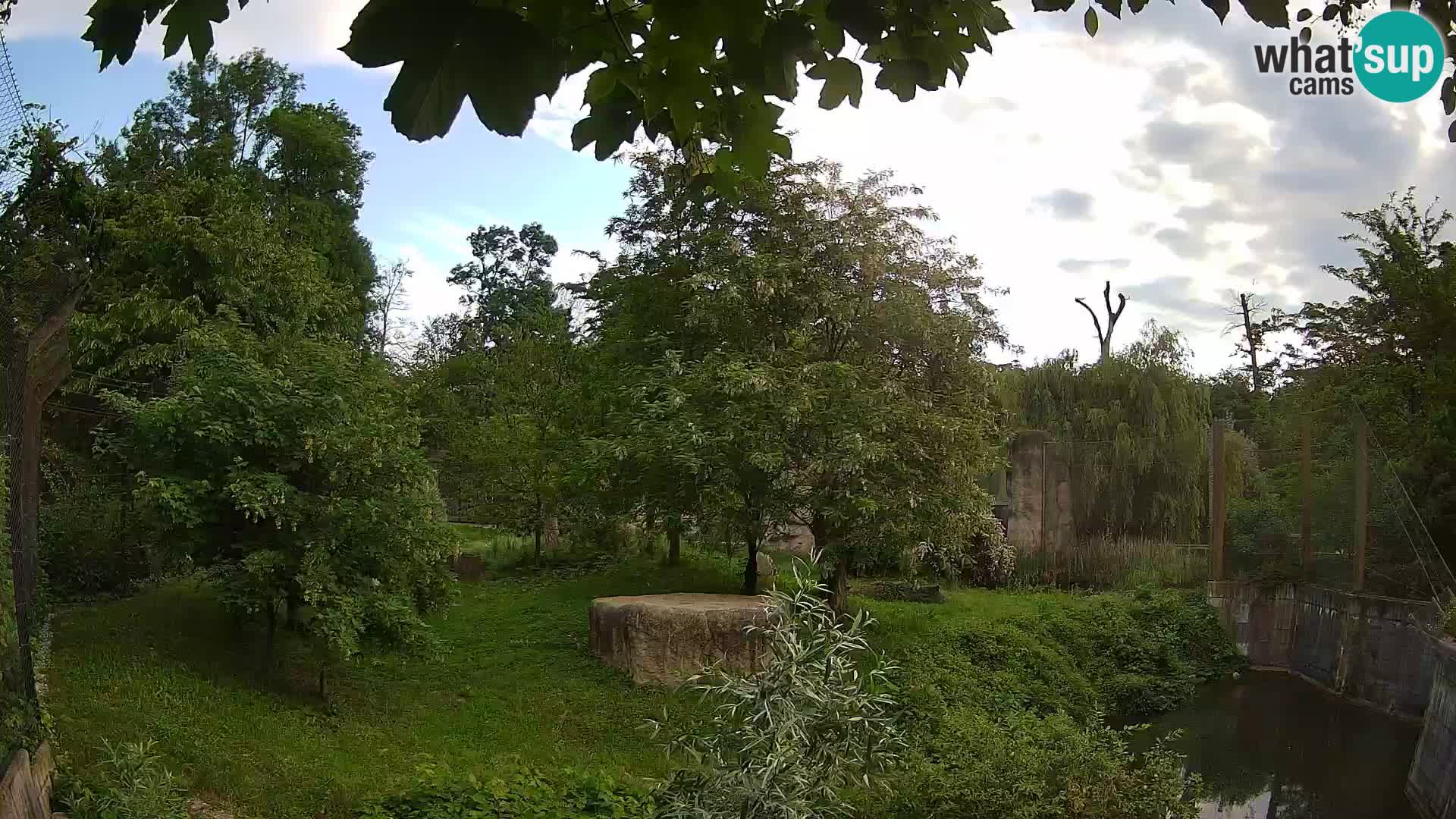 Spletna kamera Zoo Zagreb – Levi