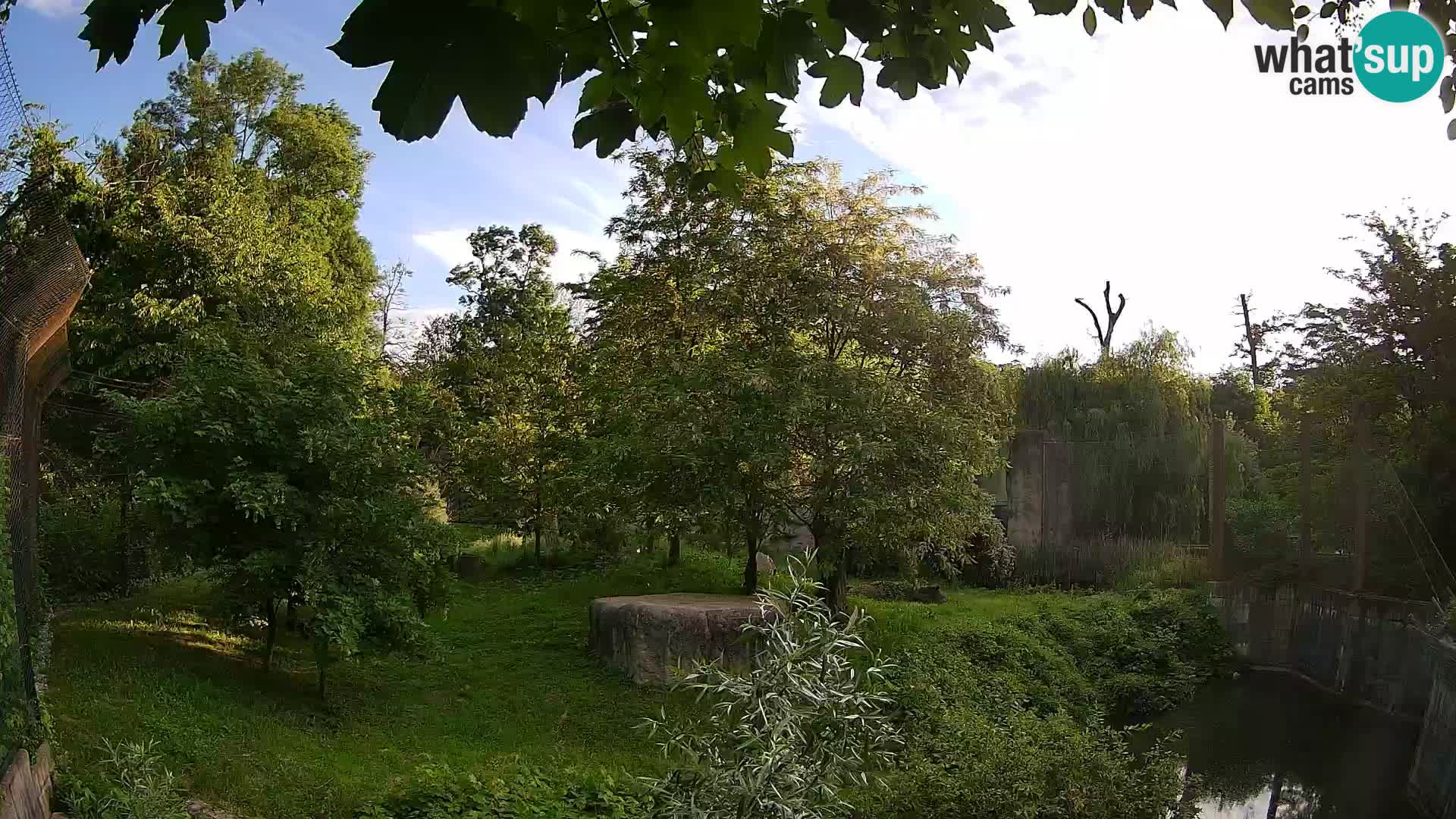 Zoo Zagreb – Lavovi