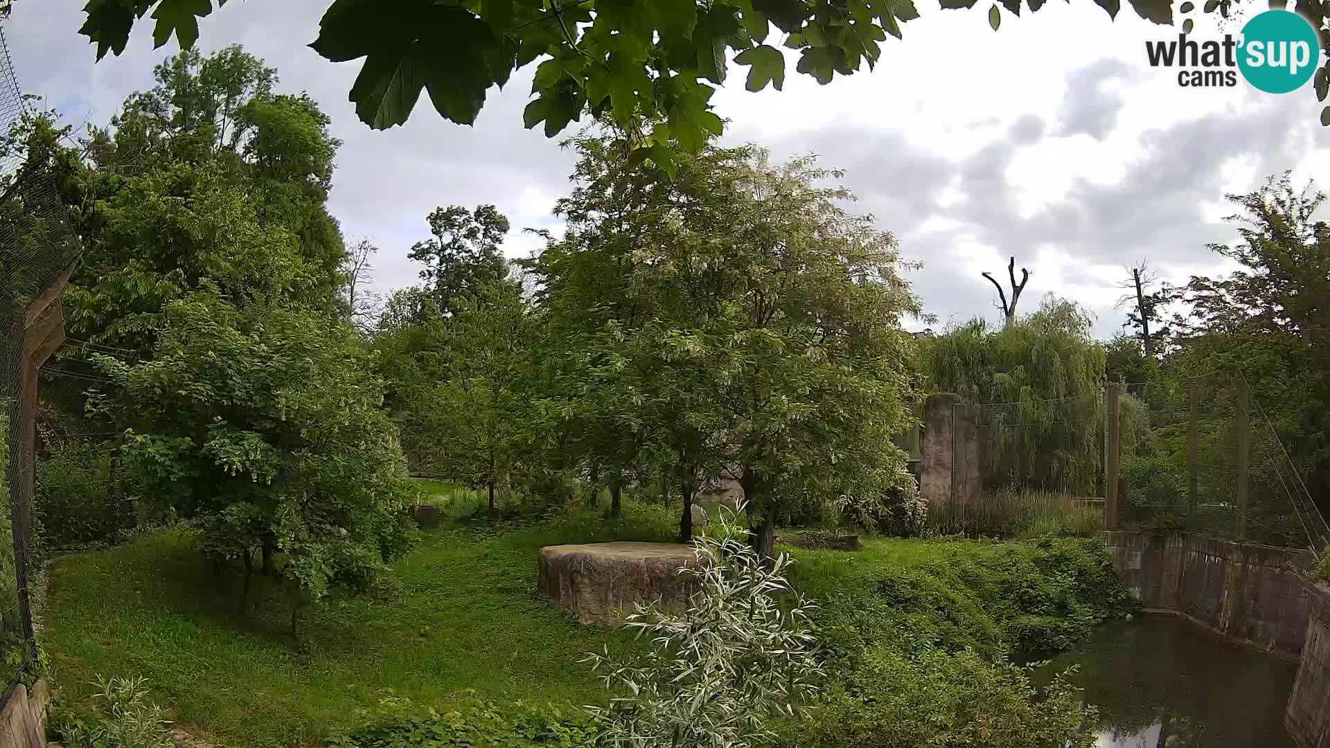 Zoo Zagreb – Löwen