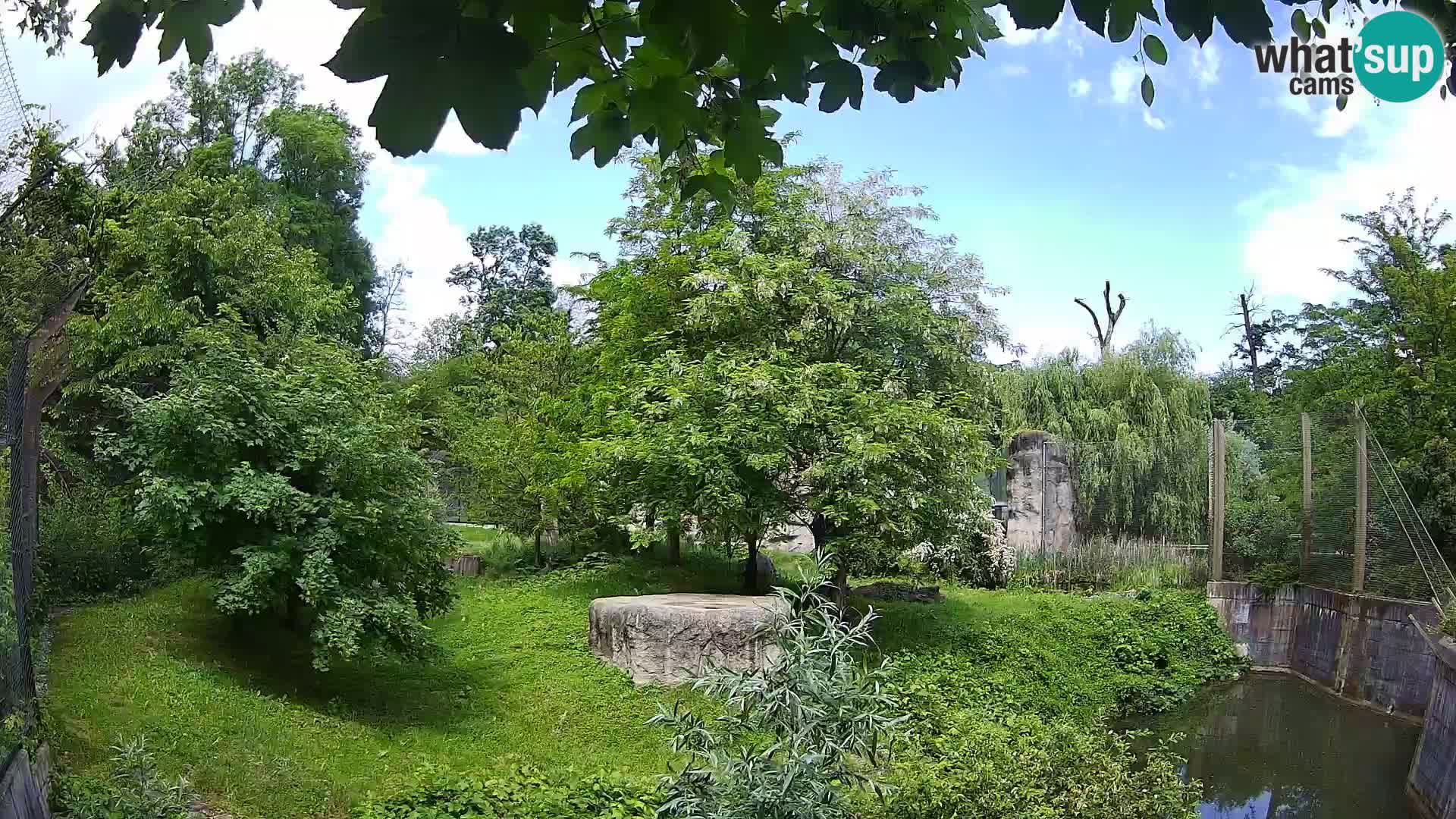 Zoo Zagreb – Leoni