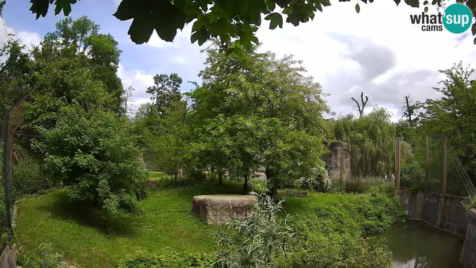 Zoo Zagreb – Leoni