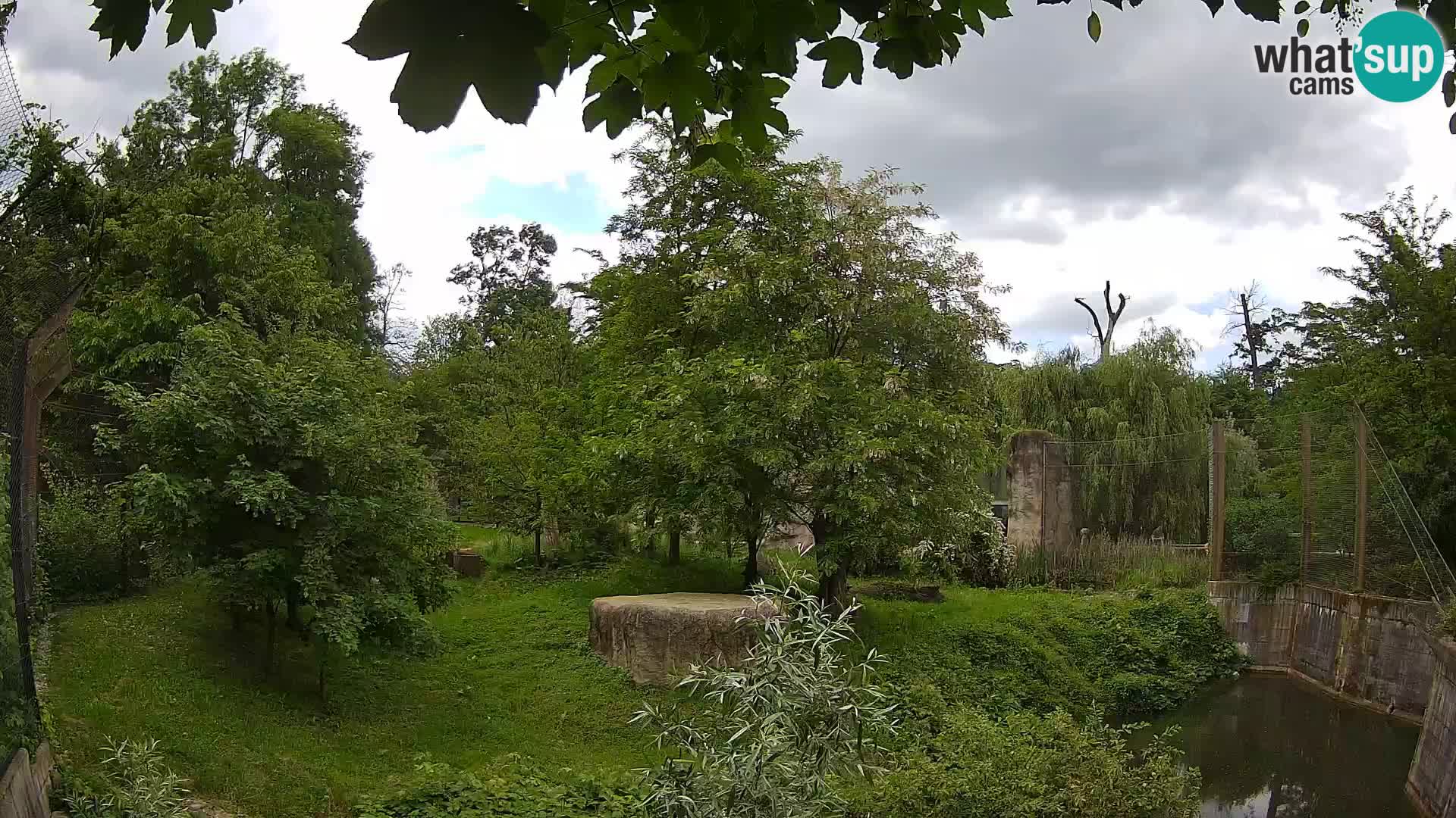 Zoo Zagreb – Löwen