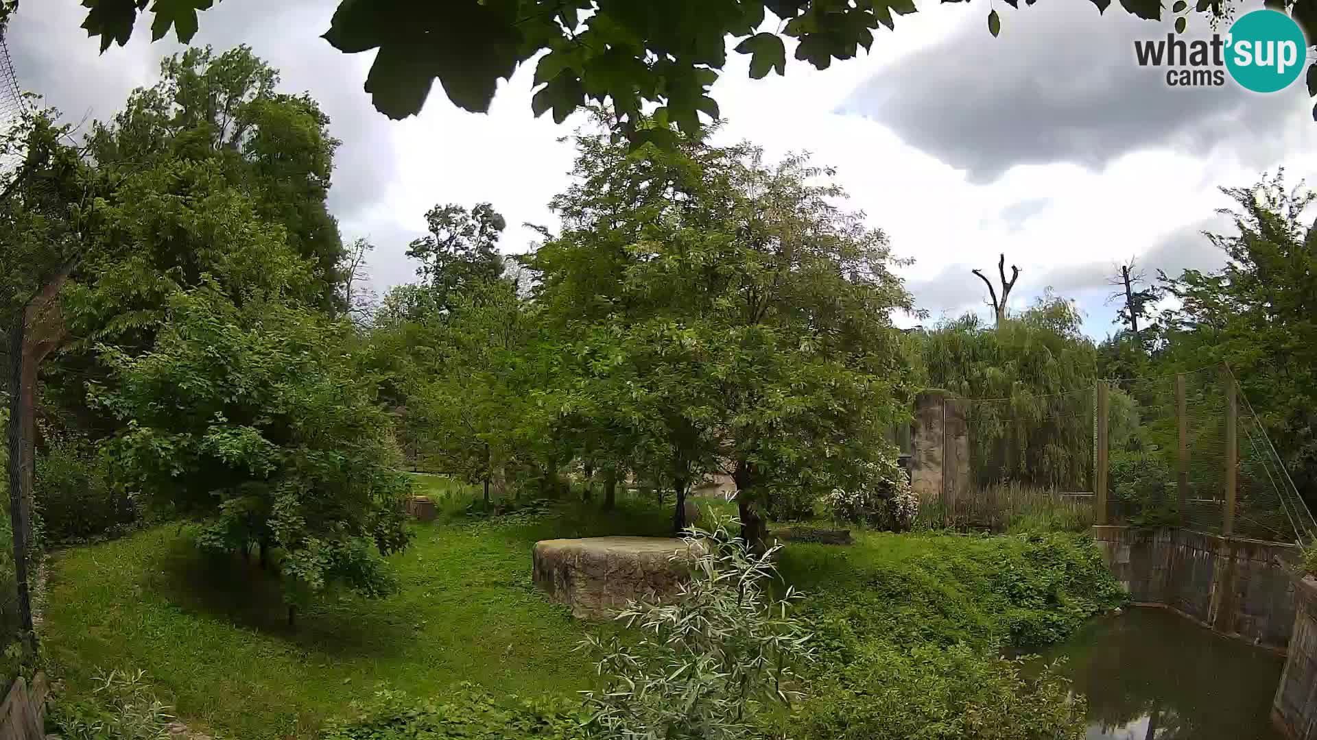 Zoo Zagreb – Leoni
