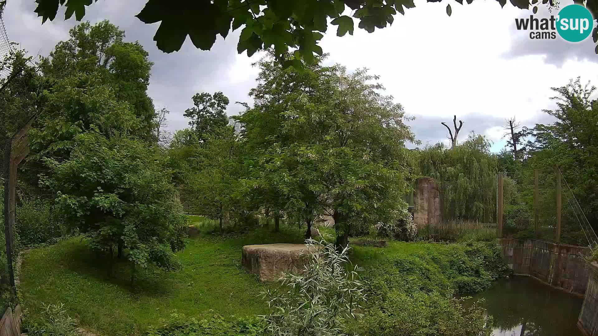 Zoo Zagreb – Leones