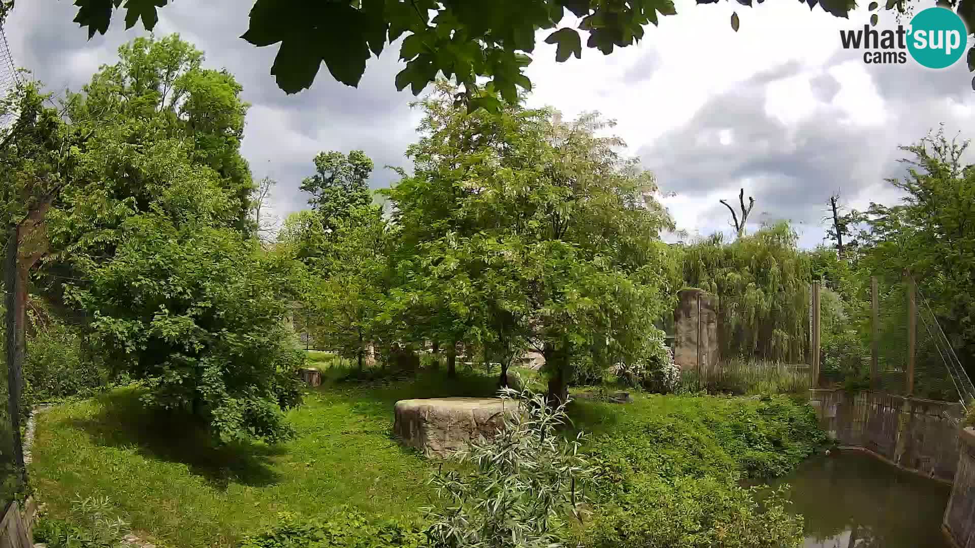 Zoo Zagreb – Leoni