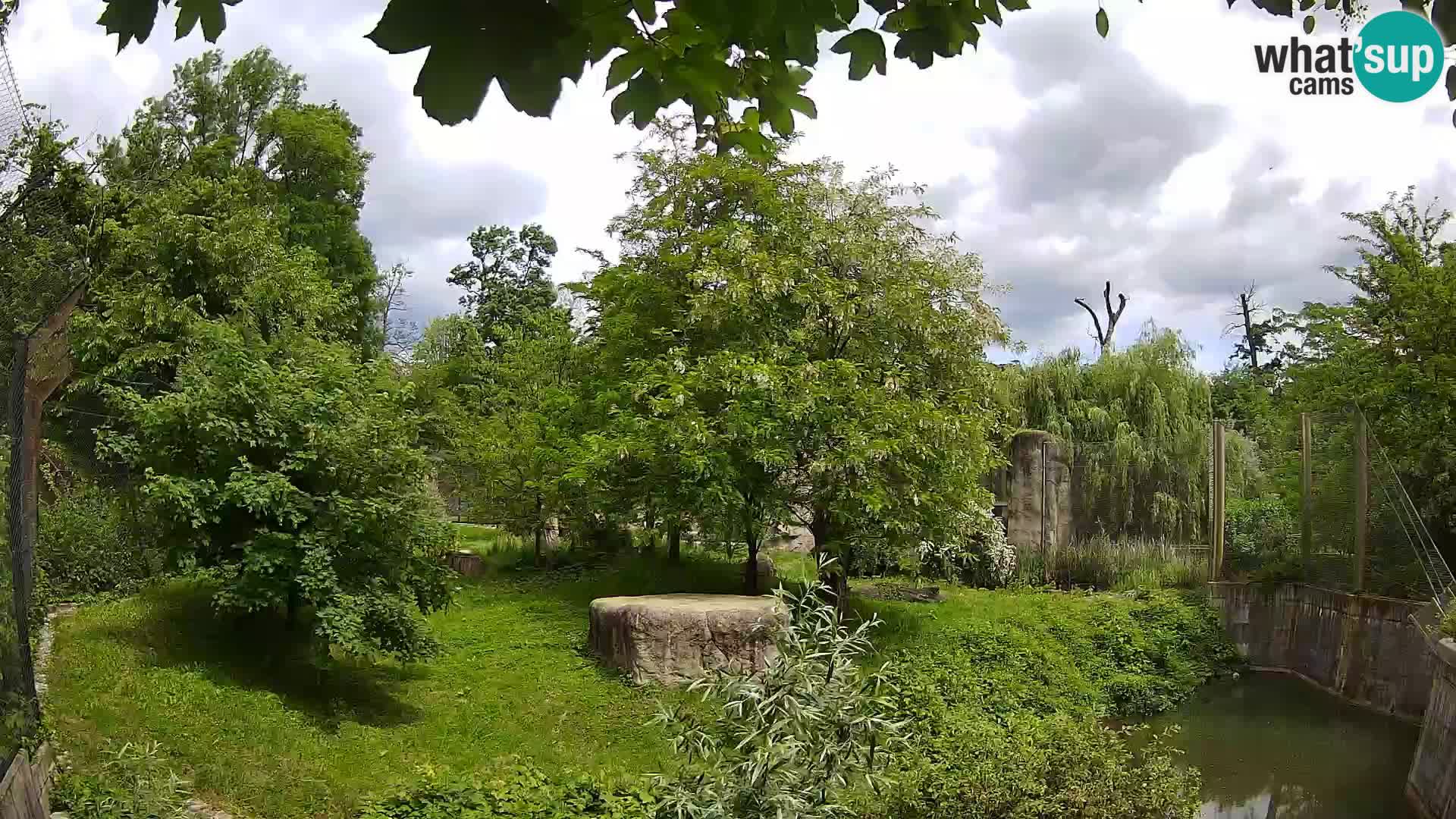 Zoo Zagreb – Leoni