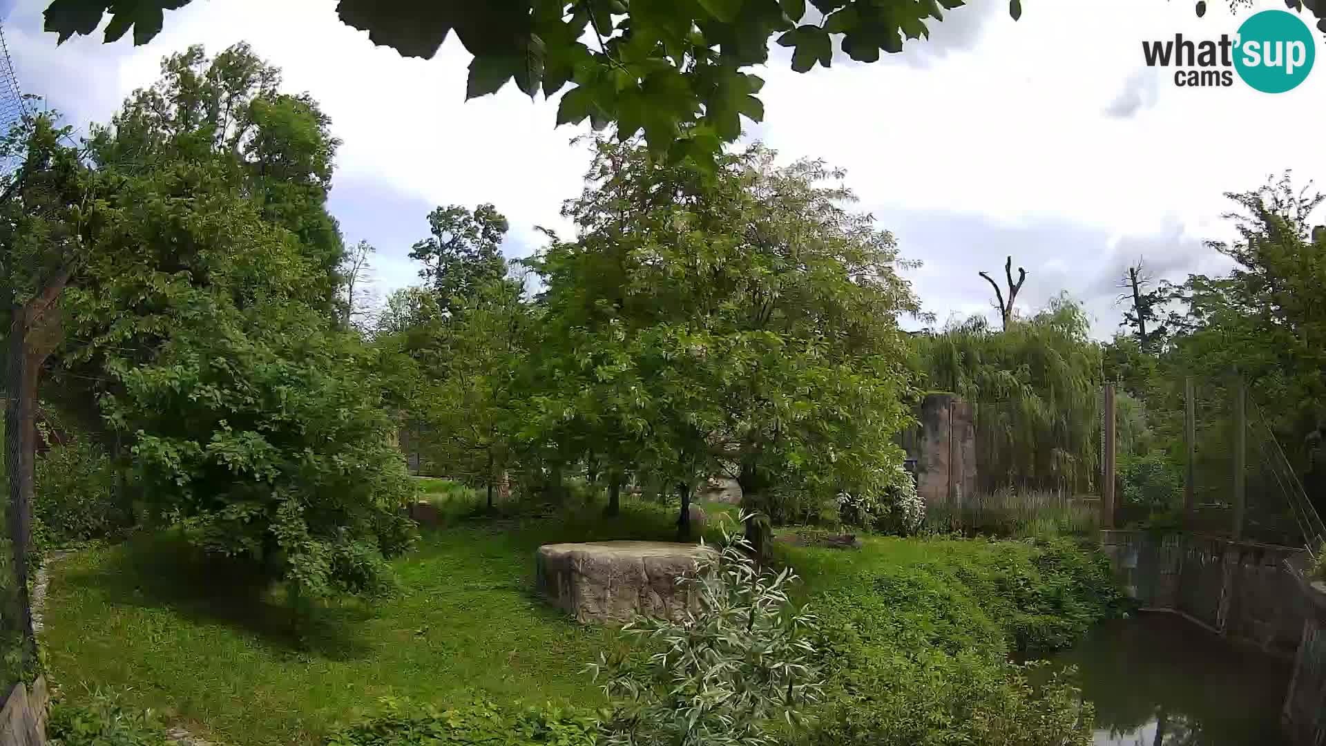 Zoo Zagreb – Leoni