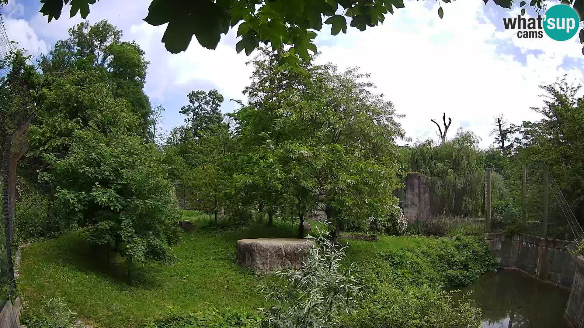 Zoo Zagreb – Löwen
