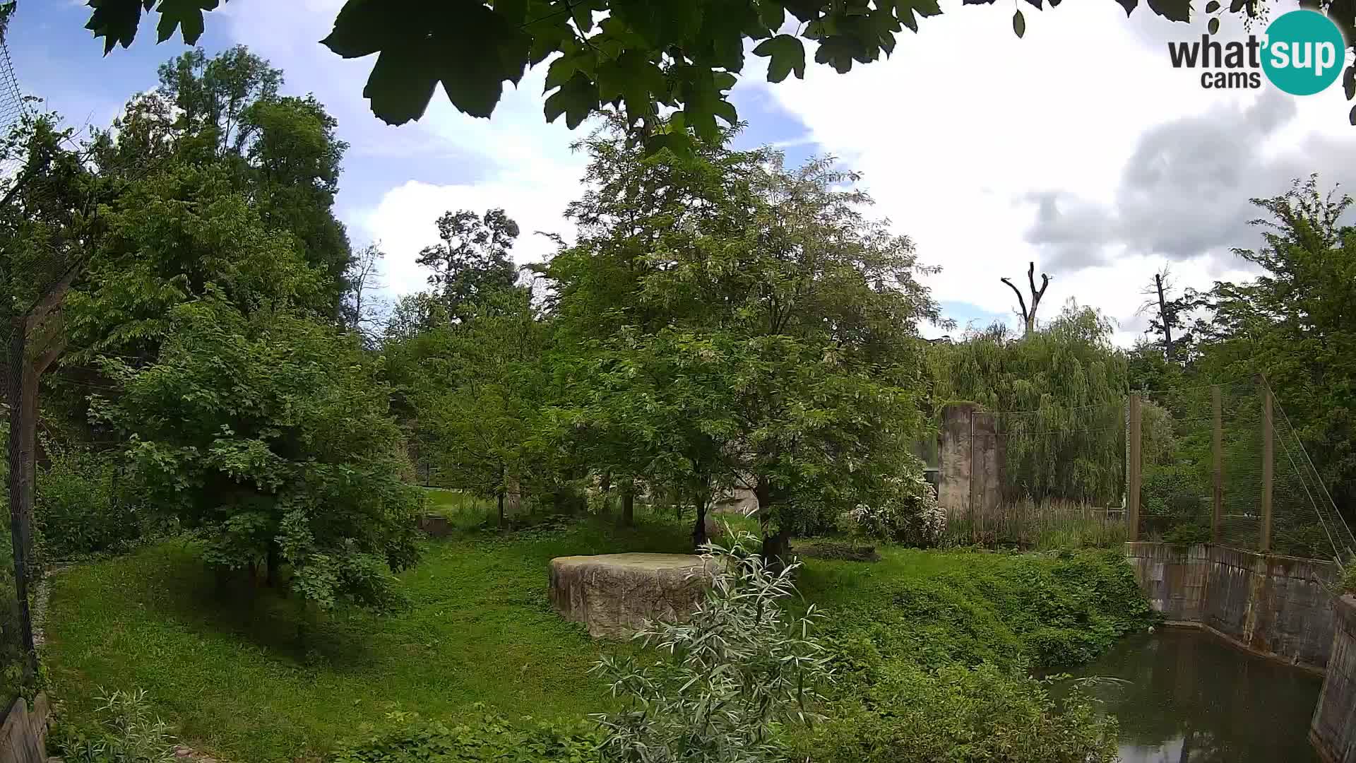 Spletna kamera Zoo Zagreb – Levi