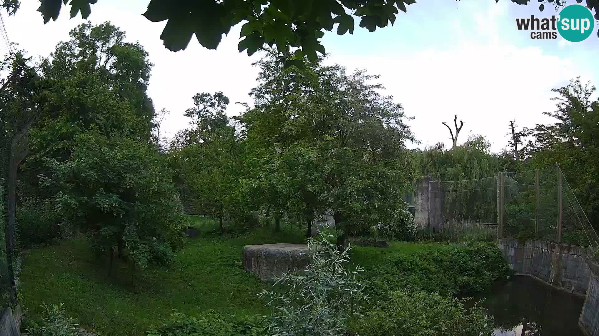 Spletna kamera Zoo Zagreb – Levi