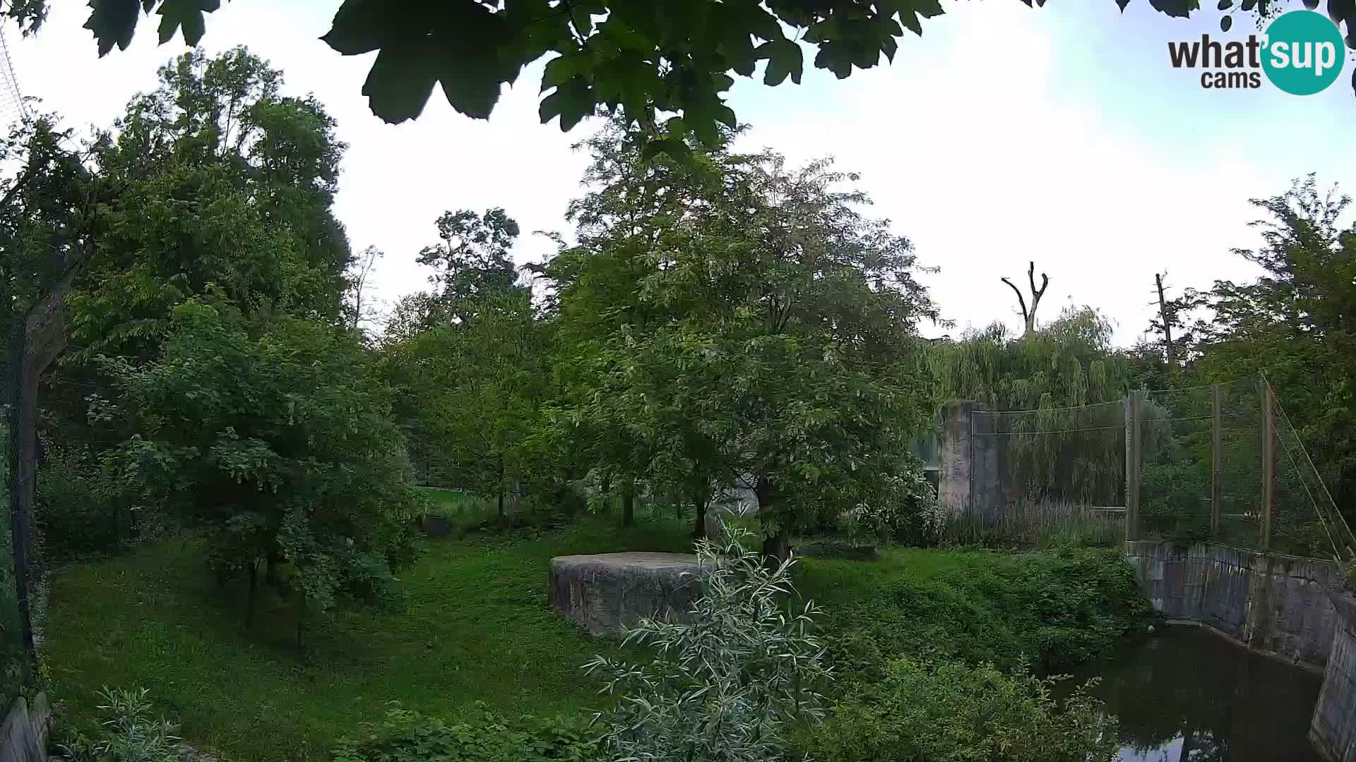 Zoo Zagreb – Leoni
