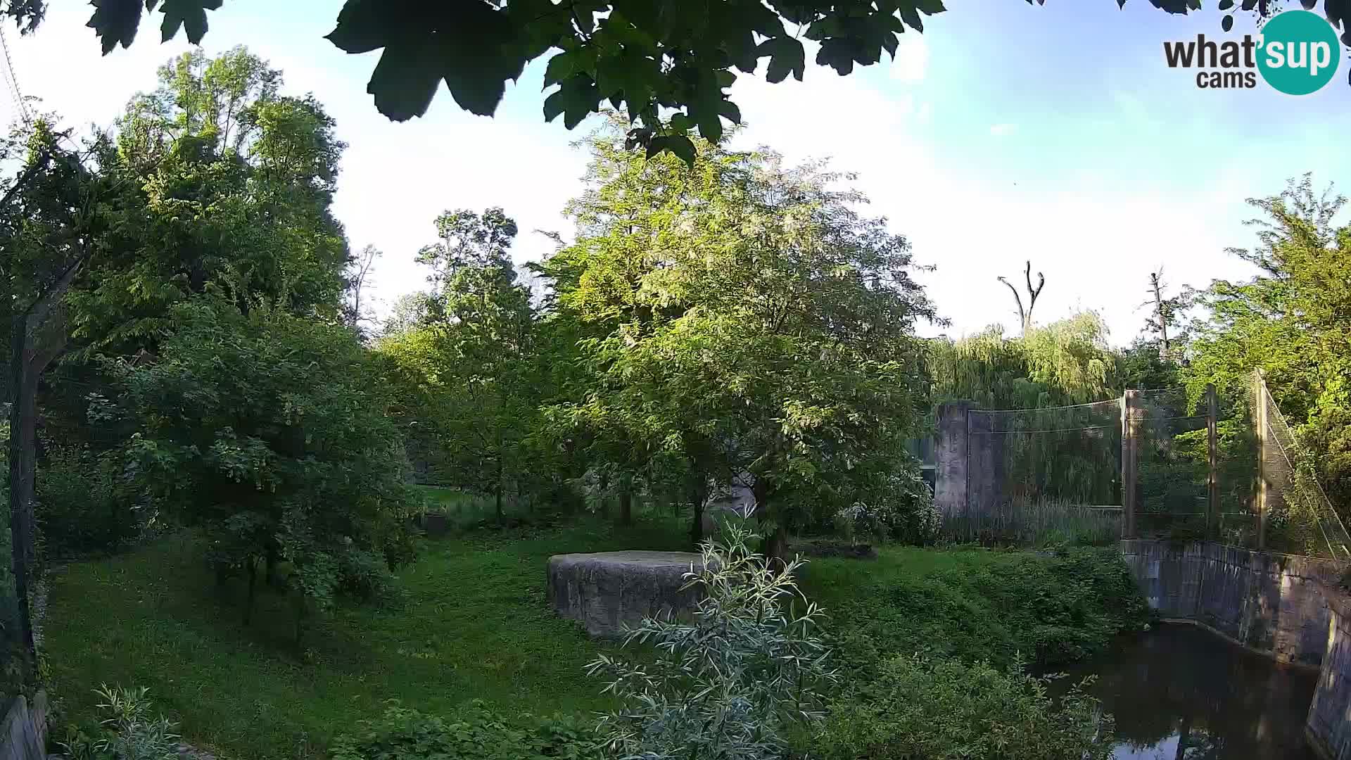 Zoo Zagreb – Leoni