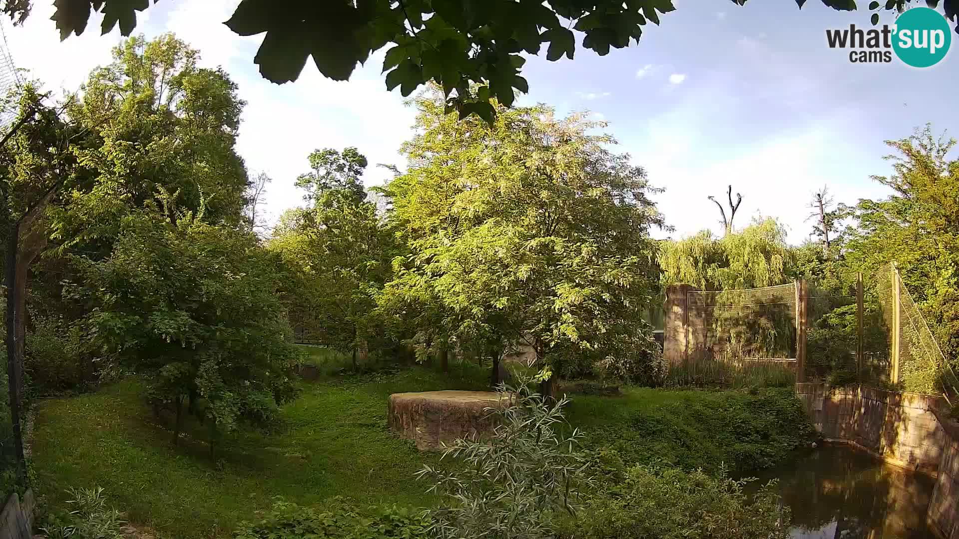 Spletna kamera Zoo Zagreb – Levi