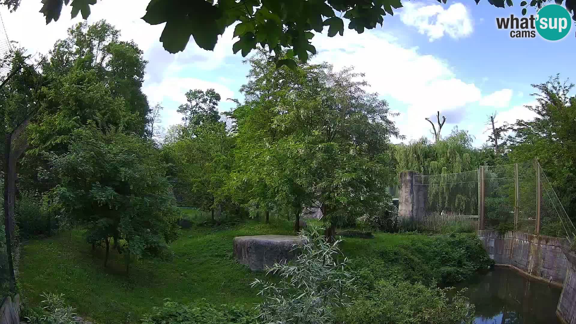 Spletna kamera Zoo Zagreb – Levi