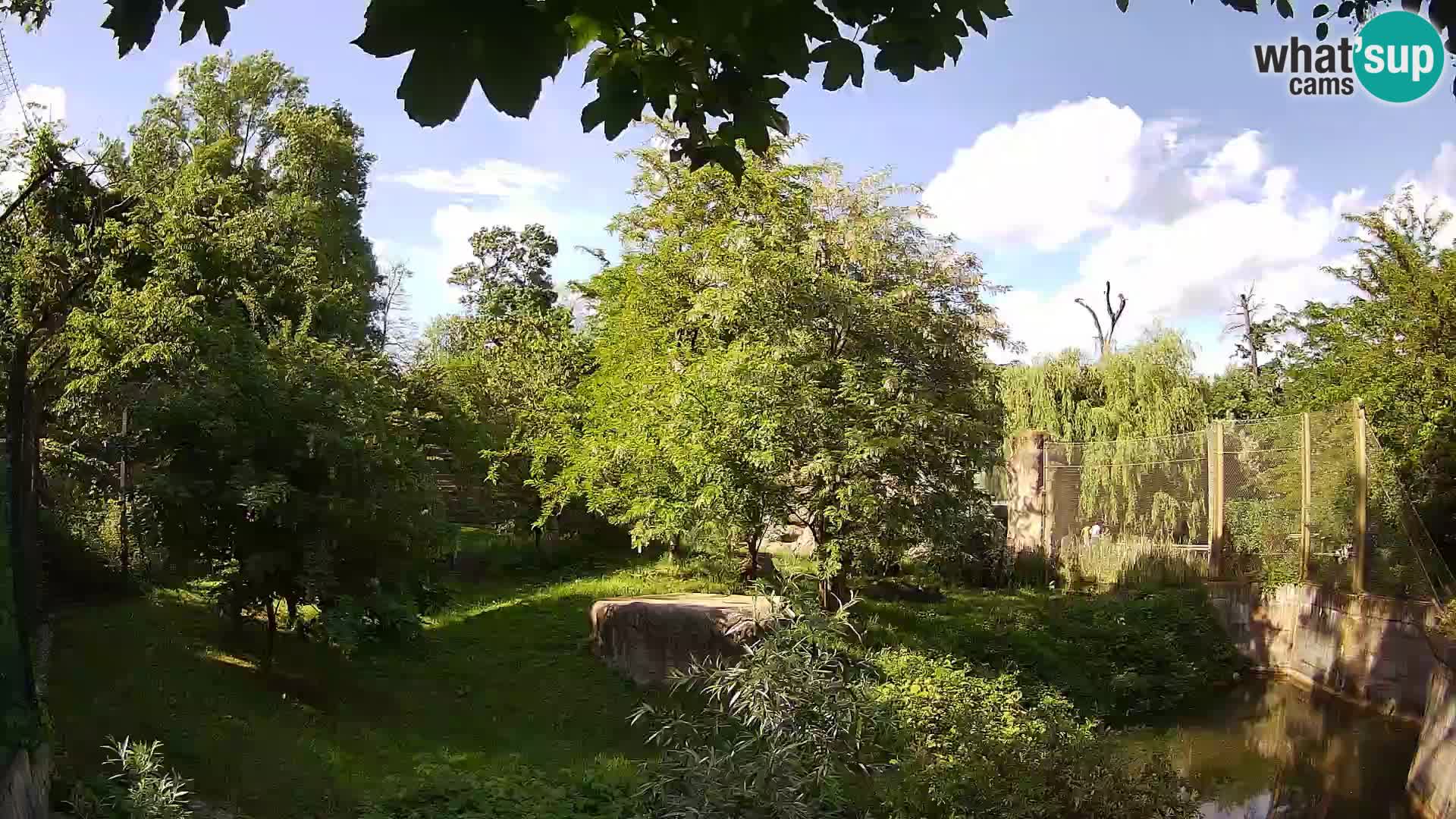 Zoo Zagreb – Leoni