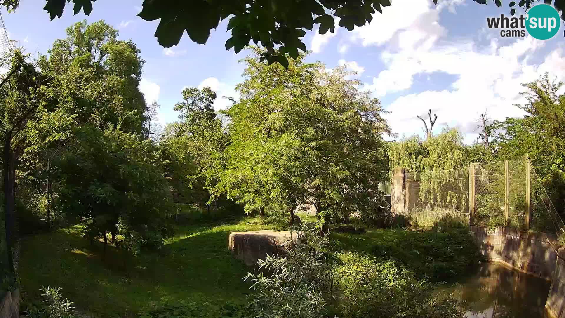 Zoo Zagreb – Leoni