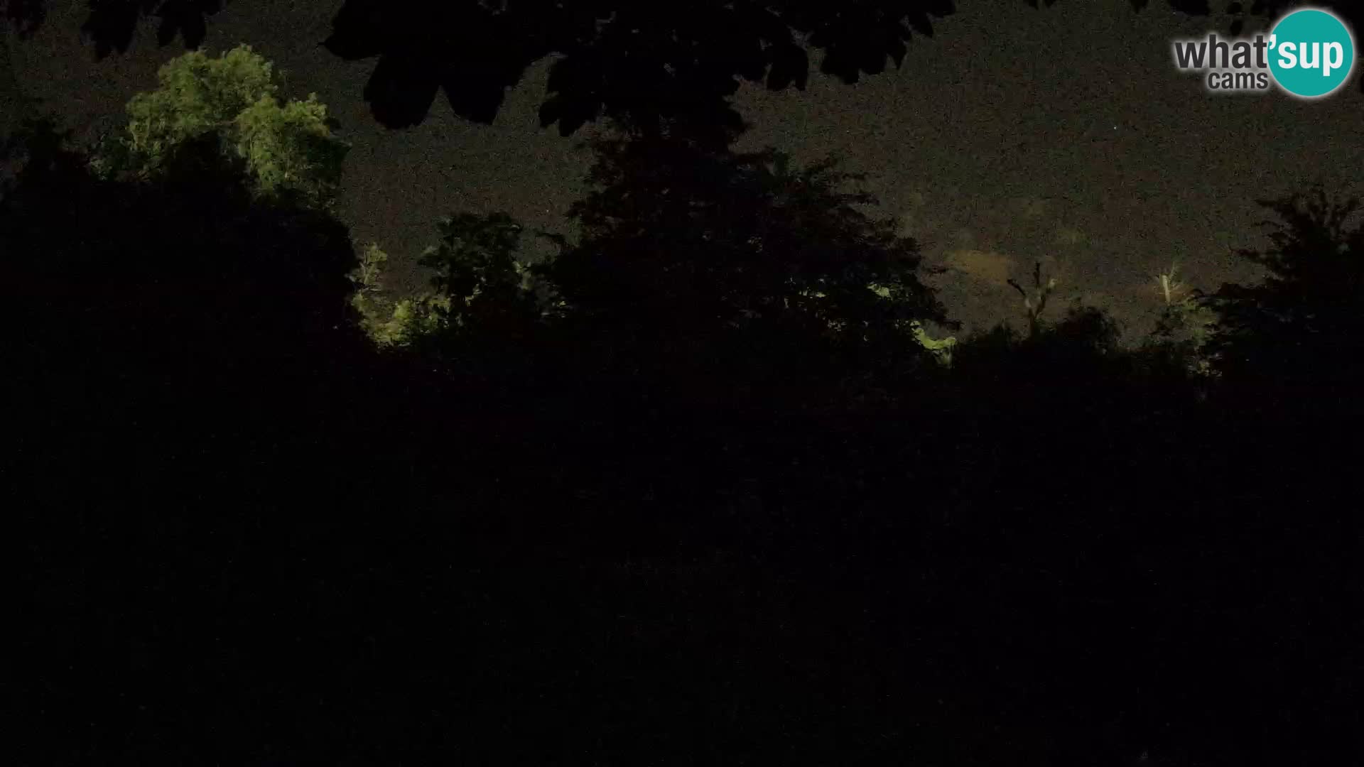 Spletna kamera Zoo Zagreb – Levi