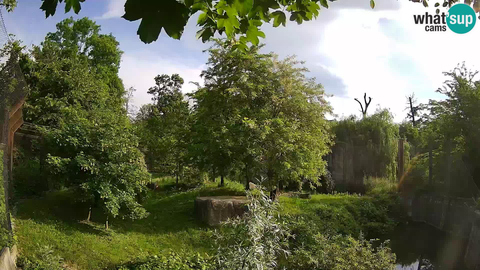 Zoo Zagreb – Löwen