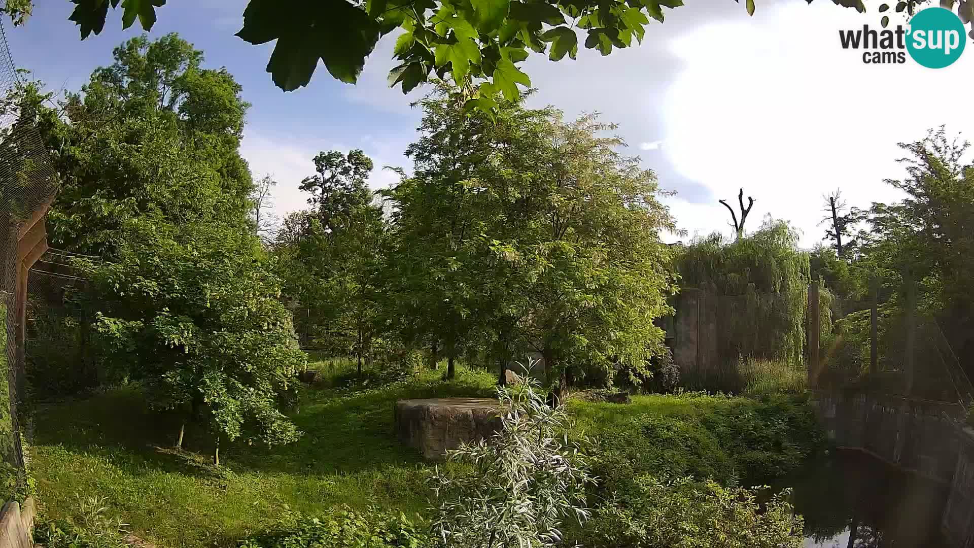Zoo Zagreb – Löwen