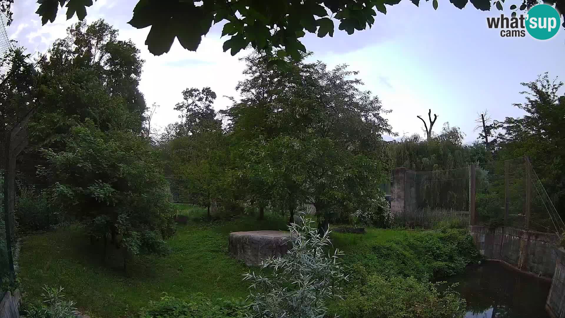 Zoo Zagreb – Leoni