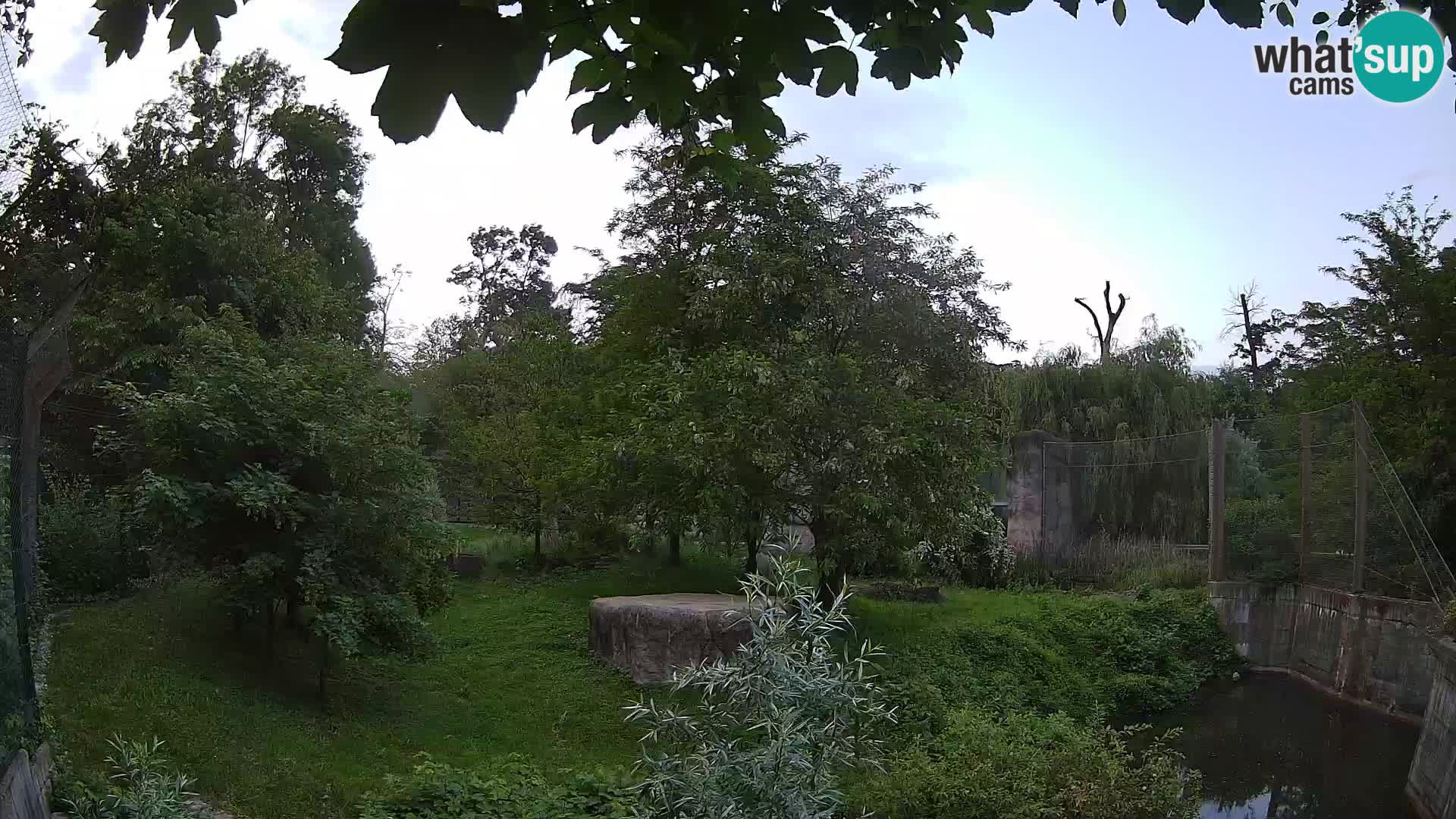 Zoo Zagreb – Leones